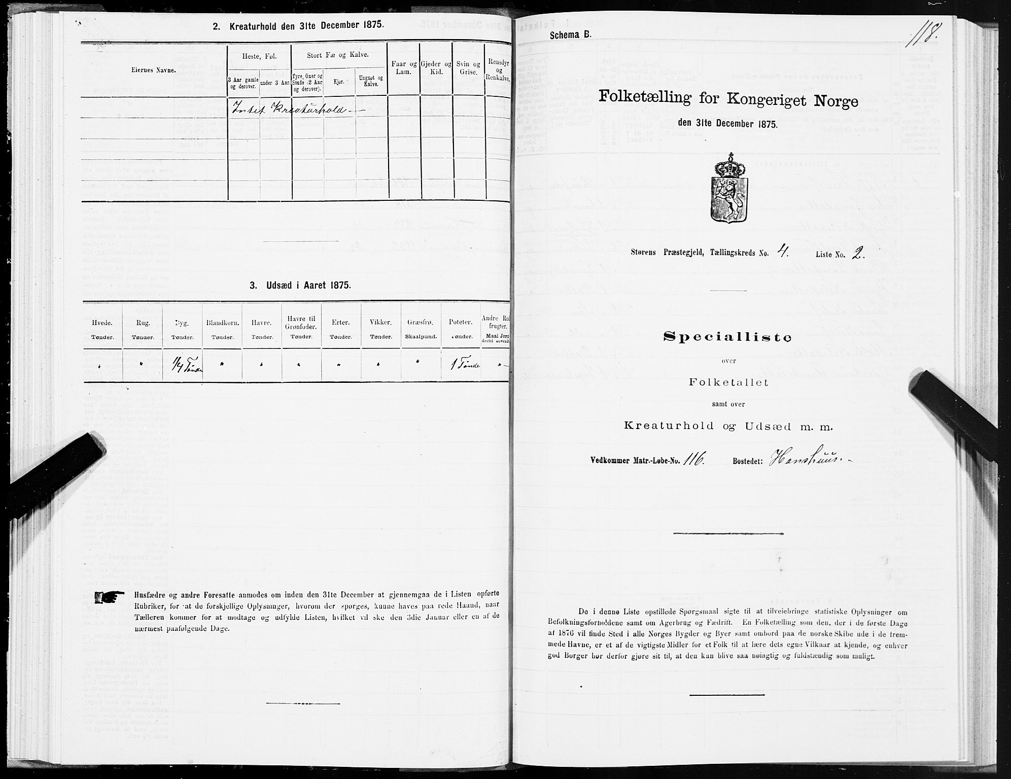 SAT, 1875 census for 1648P Støren, 1875, p. 8118