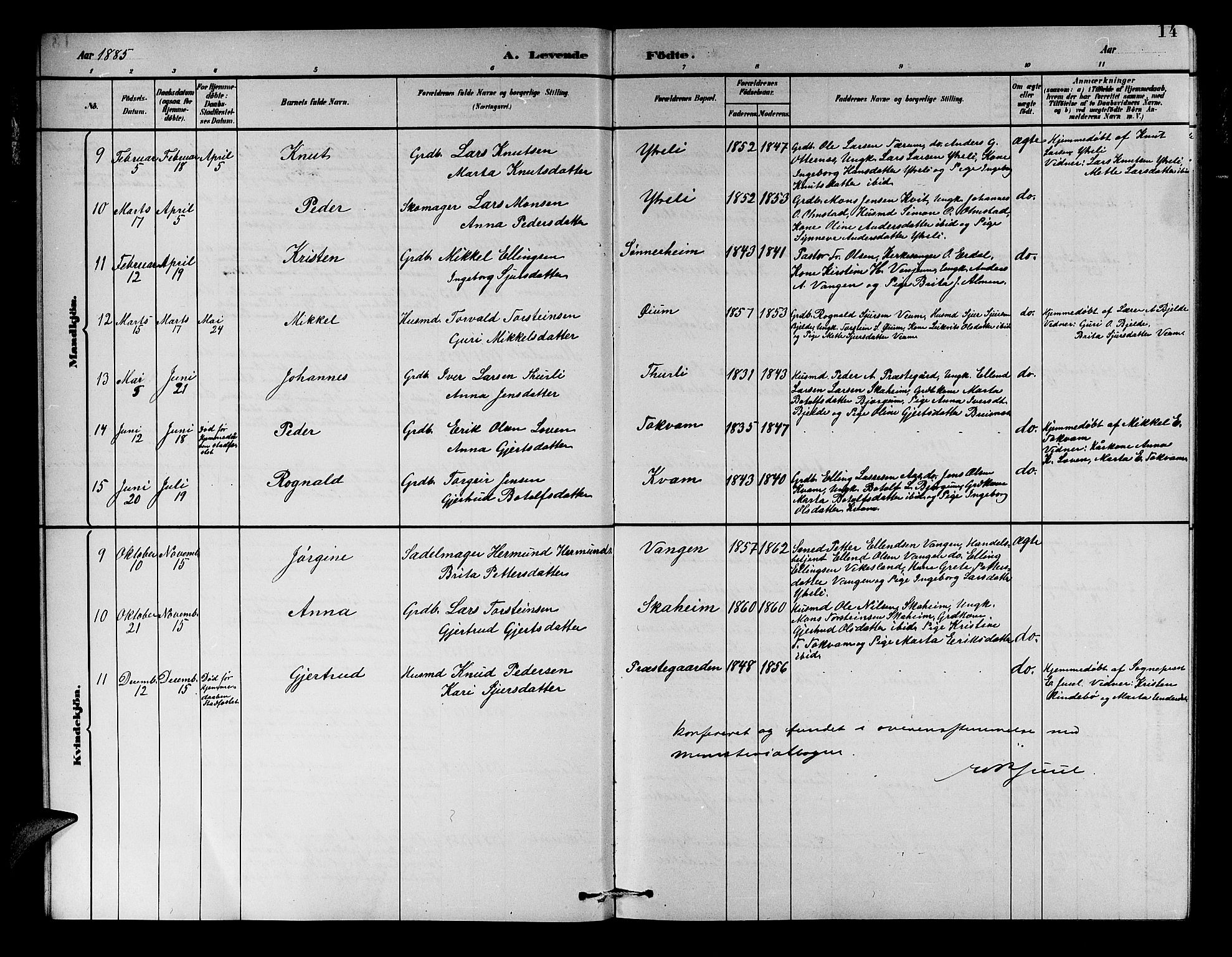 Aurland sokneprestembete, AV/SAB-A-99937/H/Hb/Hba/L0002: Parish register (copy) no. A 2, 1880-1895, p. 14