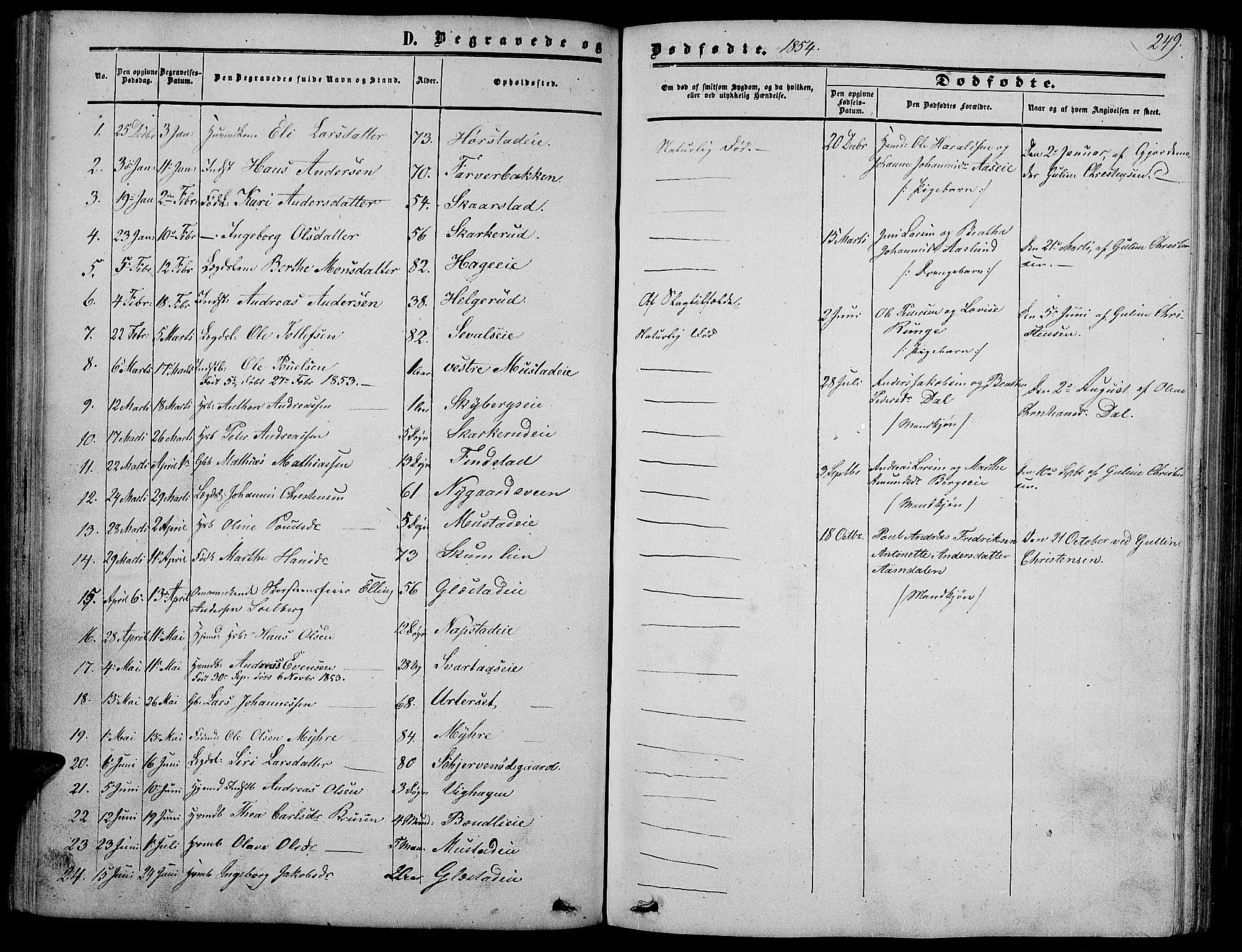 Vardal prestekontor, SAH/PREST-100/H/Ha/Hab/L0005: Parish register (copy) no. 5, 1854-1868, p. 249