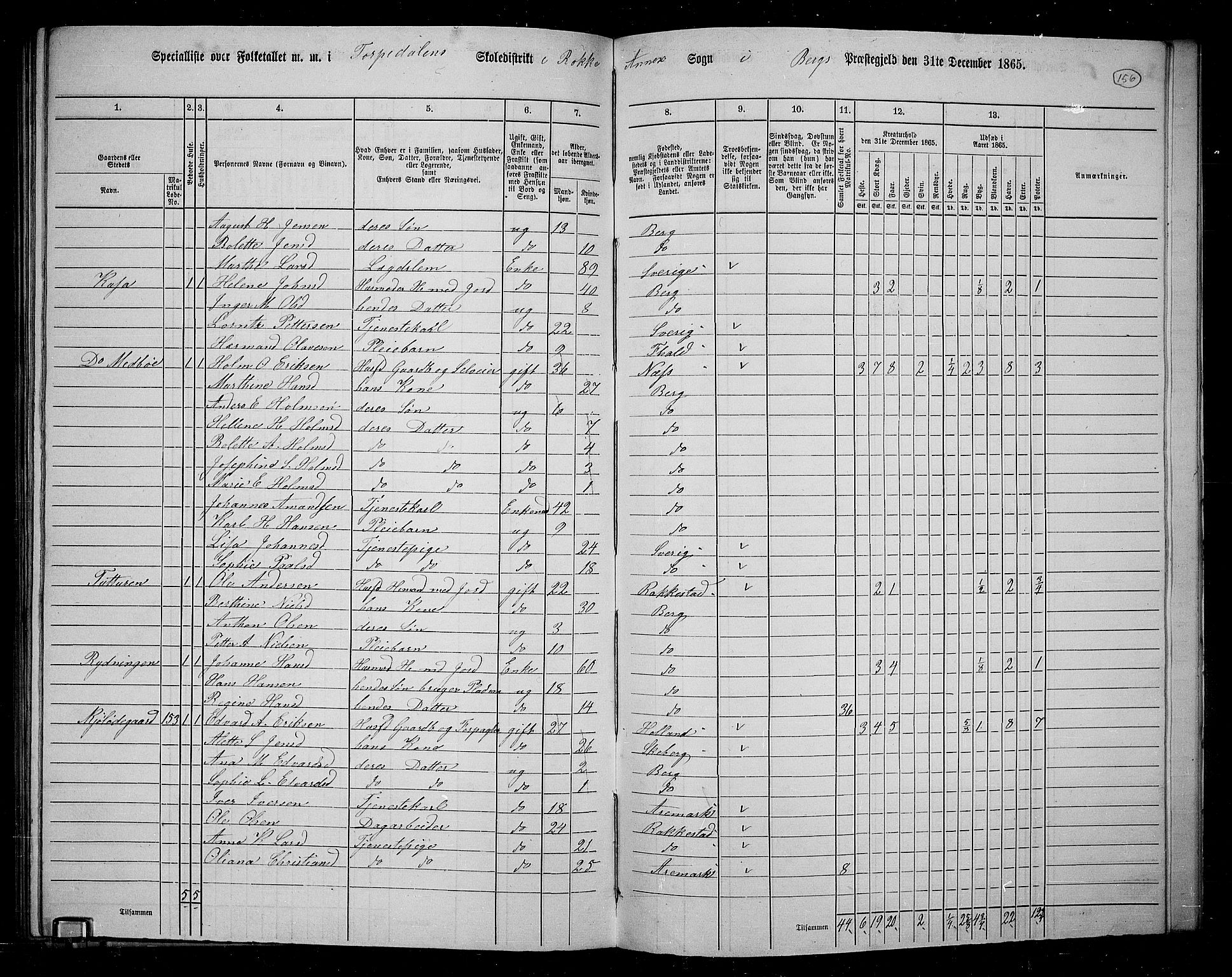 RA, 1865 census for Berg, 1865, p. 134