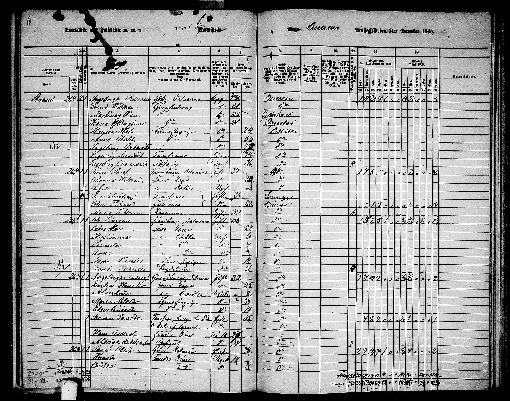 RA, 1865 census for Beiarn, 1865, p. 21