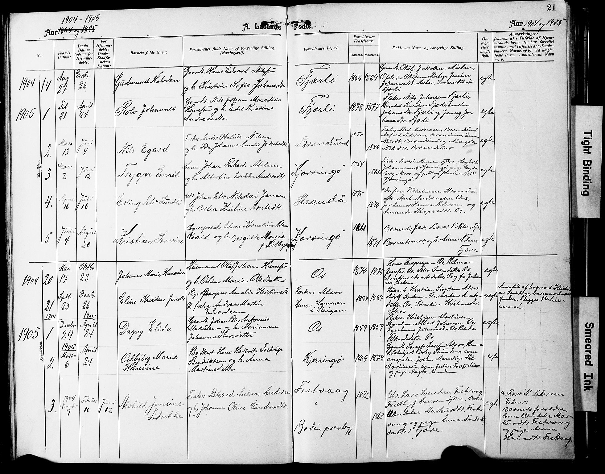 Ministerialprotokoller, klokkerbøker og fødselsregistre - Nordland, SAT/A-1459/803/L0077: Parish register (copy) no. 803C04, 1897-1930, p. 21