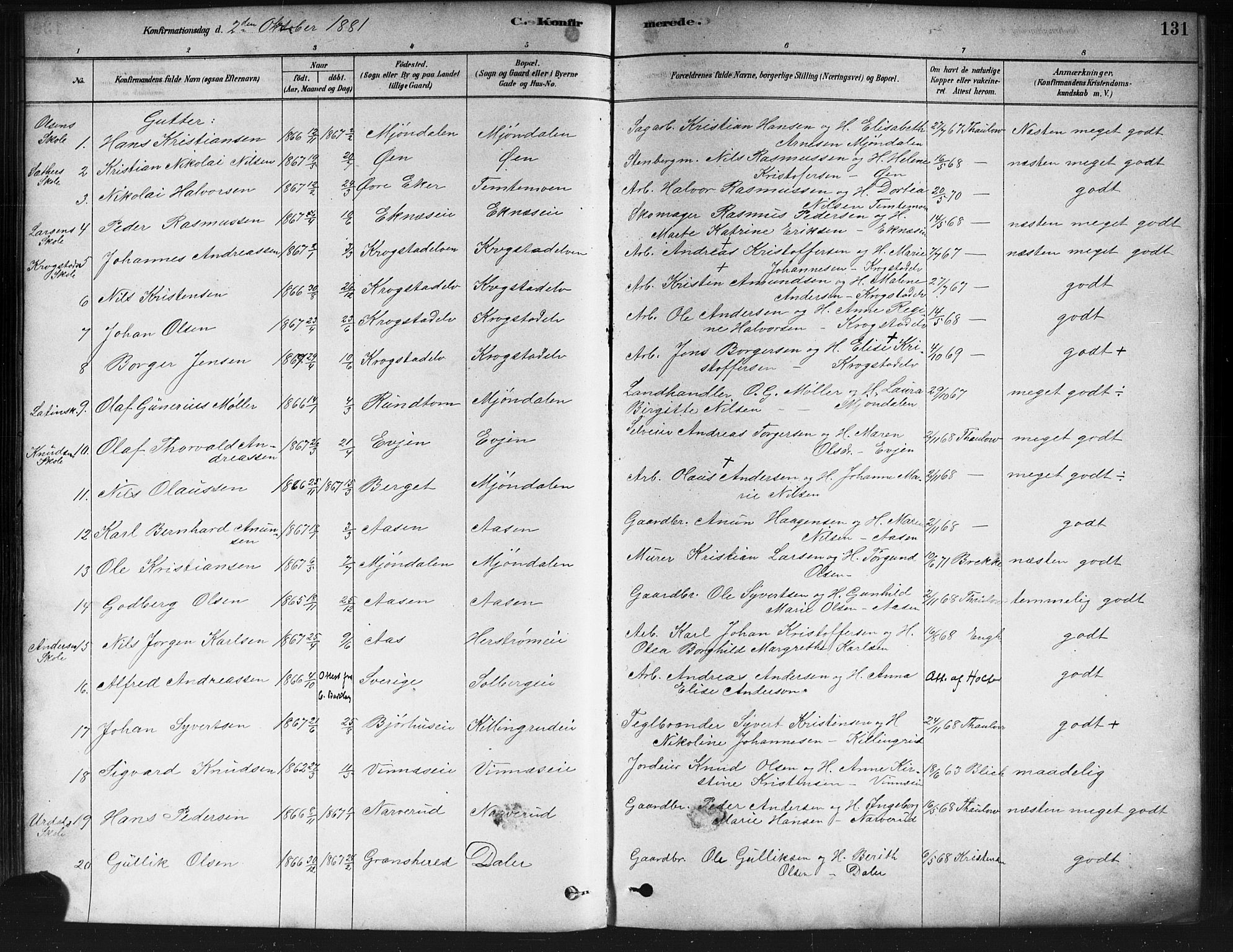 Nedre Eiker kirkebøker, SAKO/A-612/F/Fa/L0002: Parish register (official) no. 2, 1878-1885, p. 131