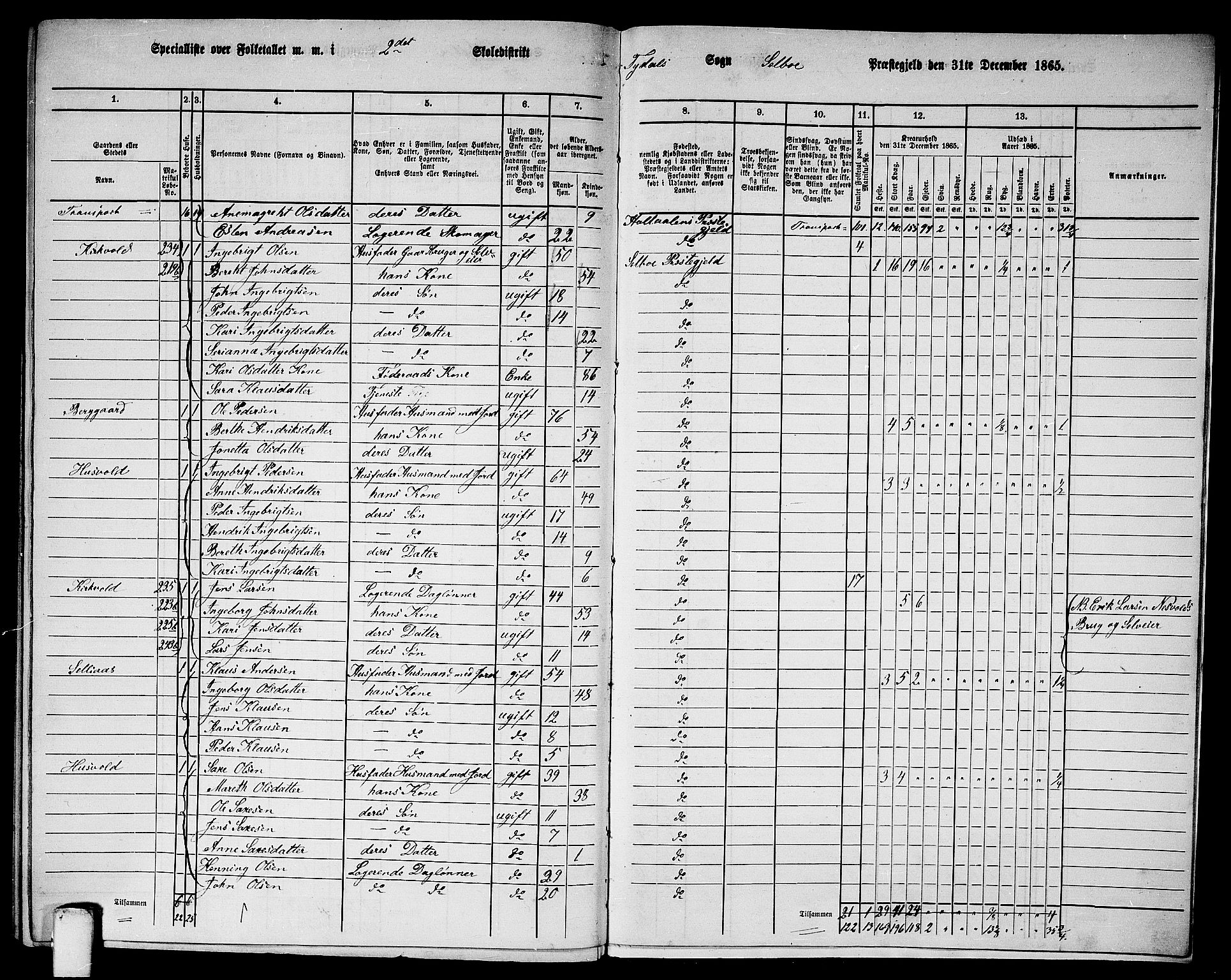 RA, 1865 census for Selbu, 1865, p. 248