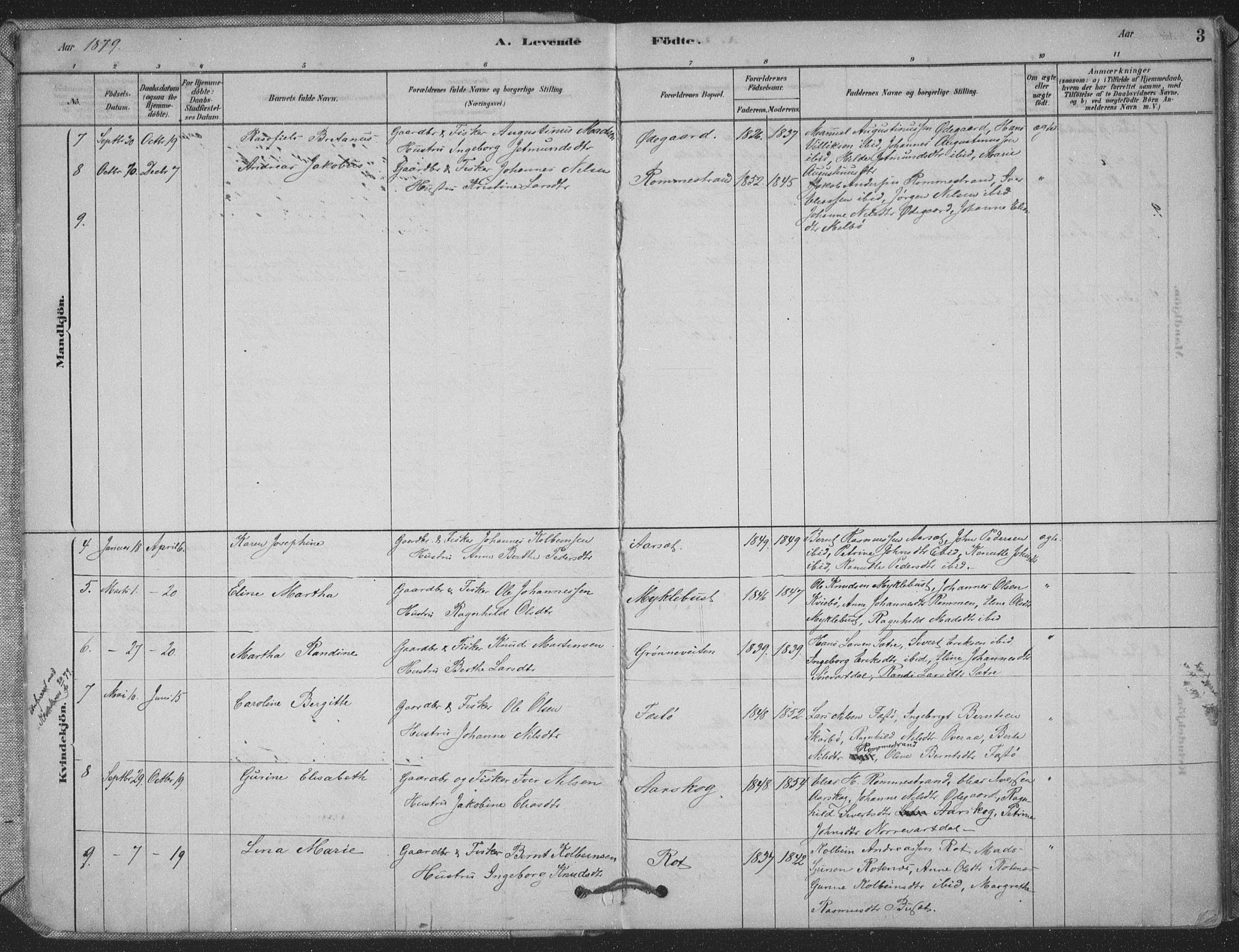 Ministerialprotokoller, klokkerbøker og fødselsregistre - Møre og Romsdal, AV/SAT-A-1454/514/L0199: Parish register (official) no. 514A01, 1878-1912, p. 3