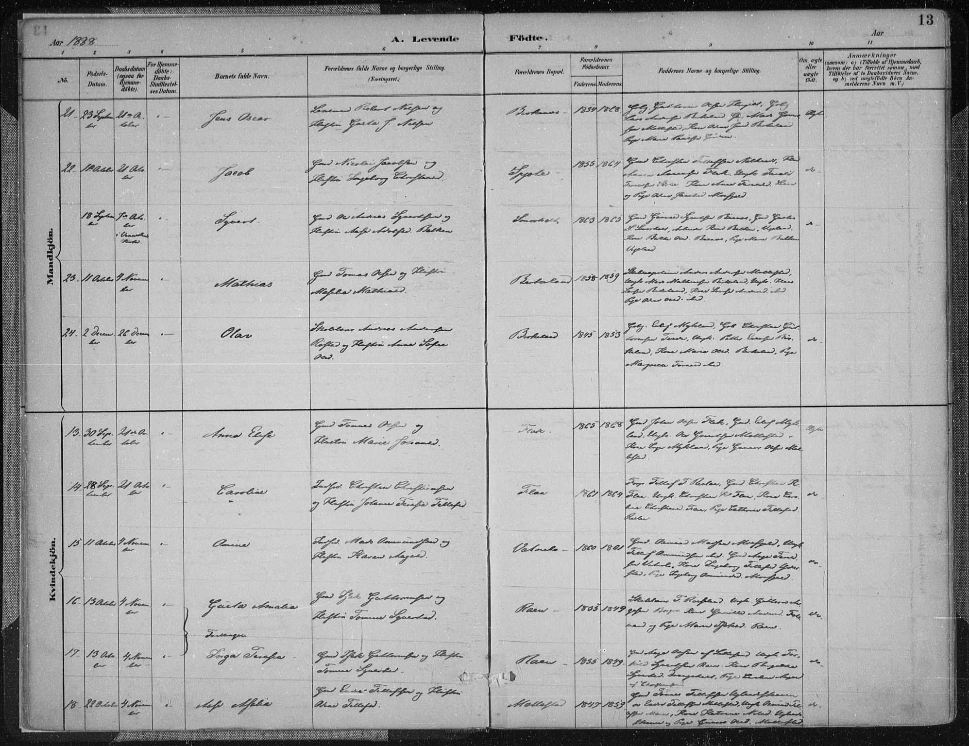 Birkenes sokneprestkontor, SAK/1111-0004/F/Fa/L0005: Parish register (official) no. A 5, 1887-1907, p. 13