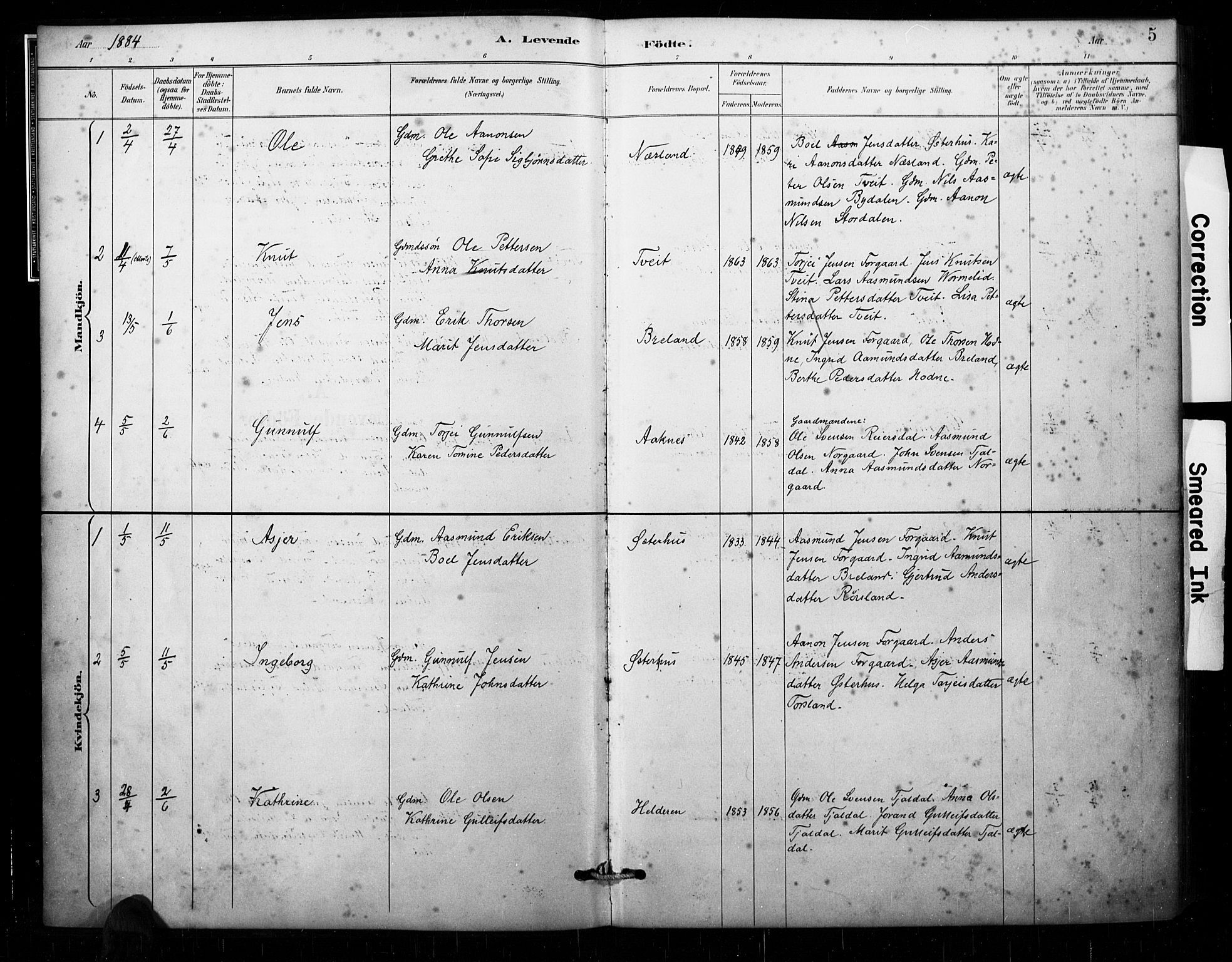 Åseral sokneprestkontor, AV/SAK-1111-0051/F/Fa/L0003: Parish register (official) no. A 3, 1884-1901, p. 5