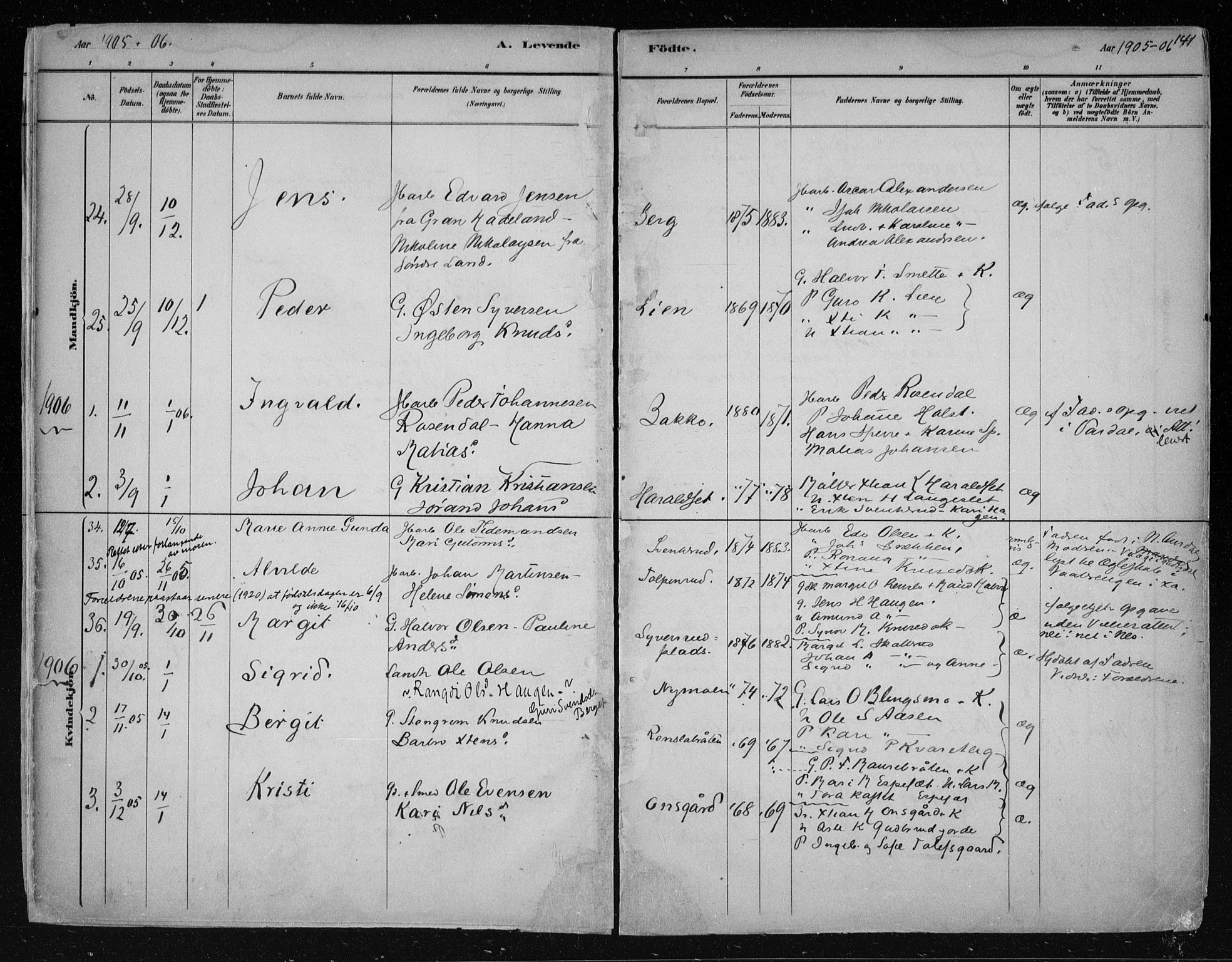 Nes kirkebøker, AV/SAKO-A-236/F/Fa/L0011: Parish register (official) no. 11, 1881-1912, p. 141