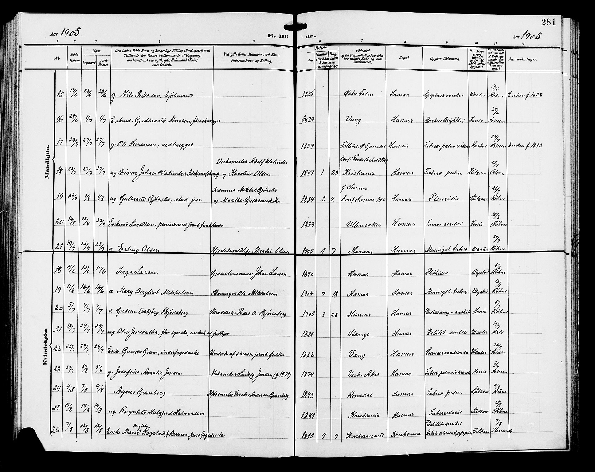 Hamar prestekontor, AV/SAH-DOMPH-002/H/Ha/Hab/L0001: Parish register (copy) no. 1, 1899-1914, p. 281