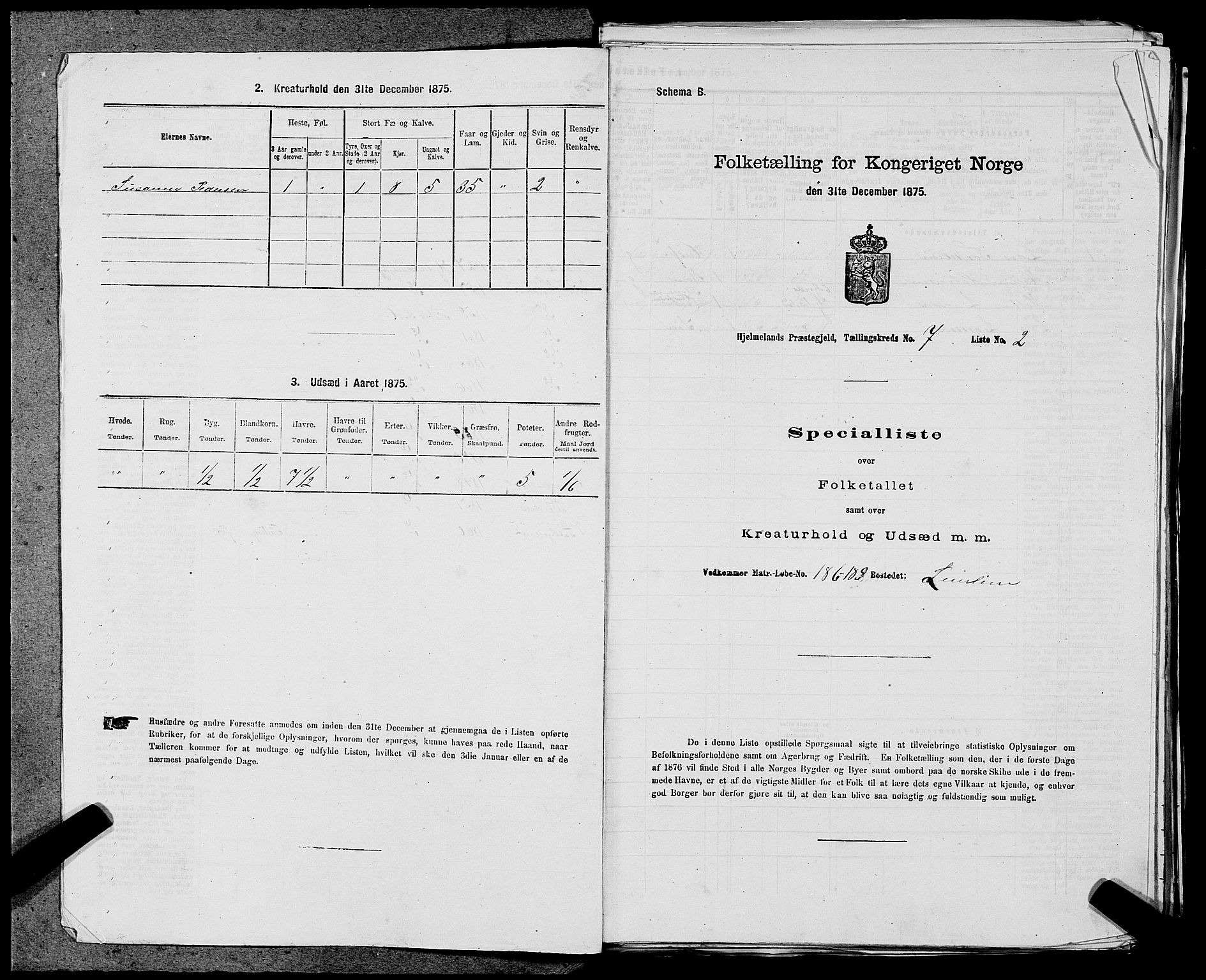 SAST, 1875 census for 1133P Hjelmeland, 1875, p. 905