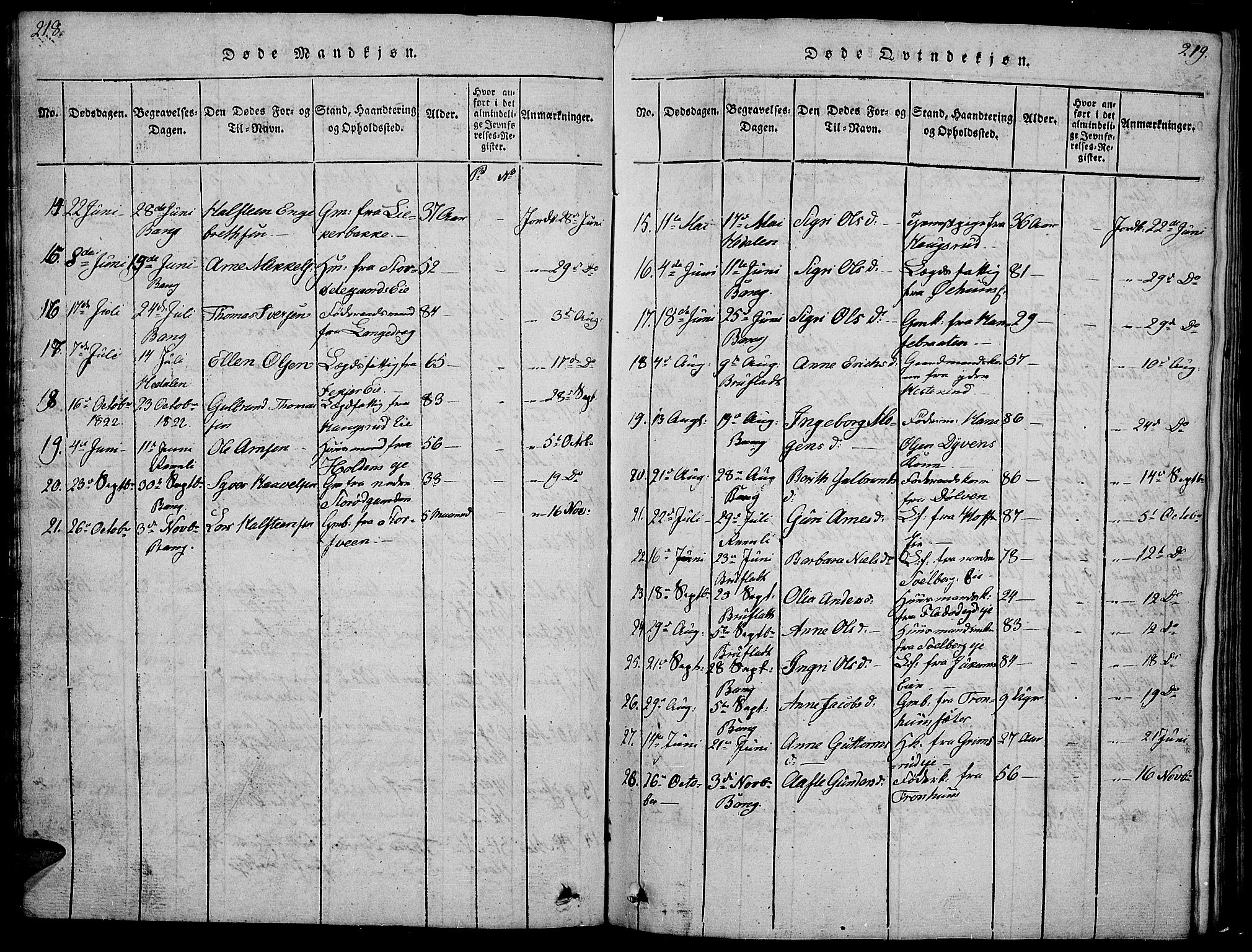 Sør-Aurdal prestekontor, AV/SAH-PREST-128/H/Ha/Hab/L0001: Parish register (copy) no. 1, 1815-1826, p. 218-219