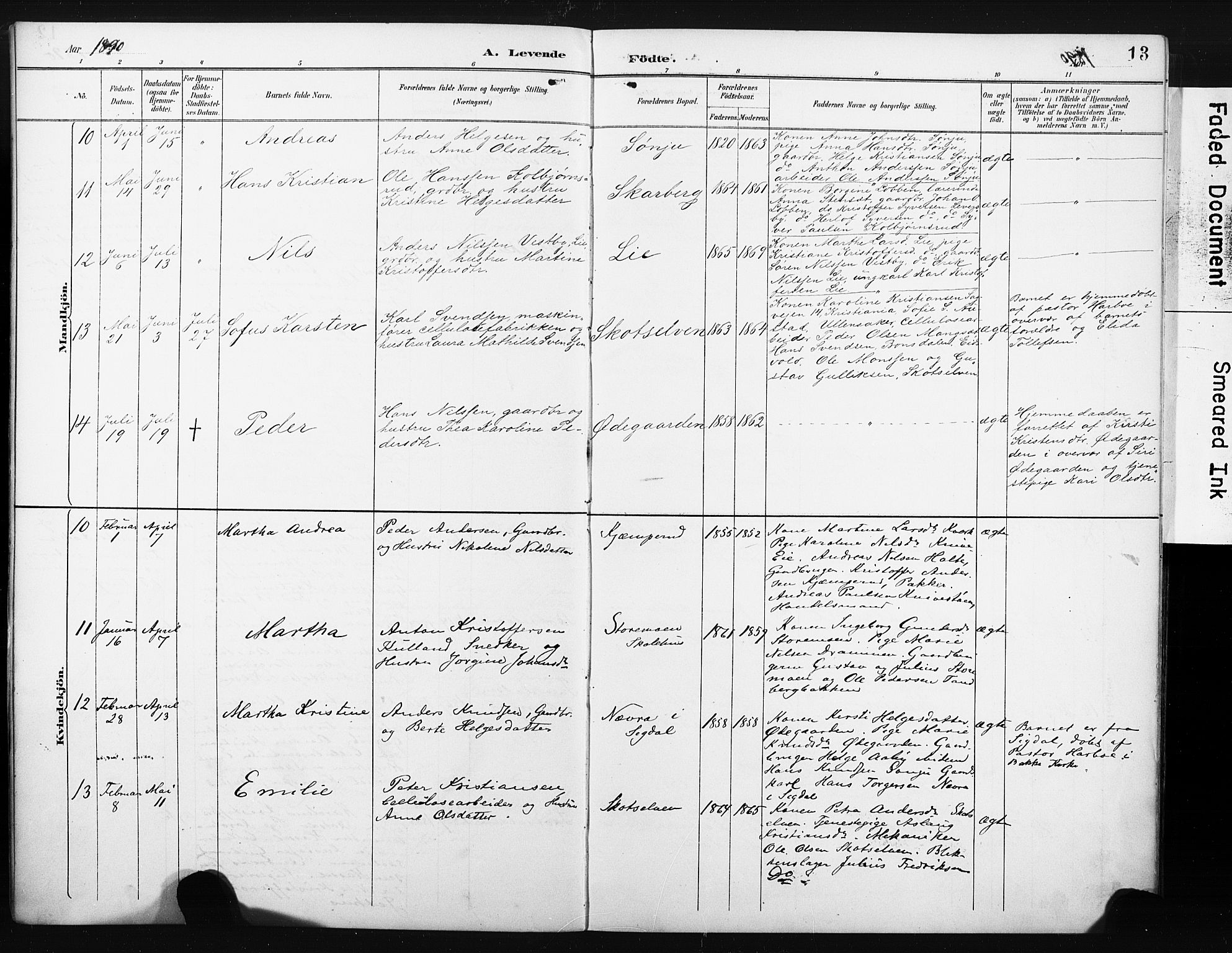 Eiker kirkebøker, SAKO/A-4/F/Fc/L0002: Parish register (official) no. III 2, 1889-1897, p. 13