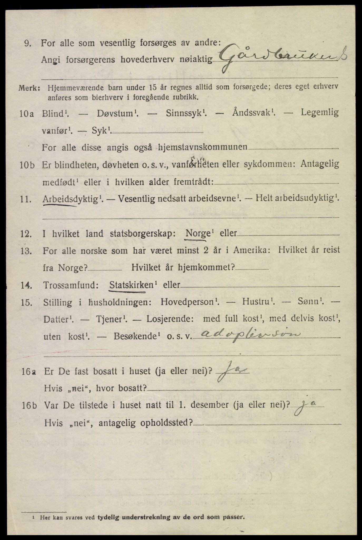 SAH, 1920 census for Nord-Aurdal, 1920, p. 3981