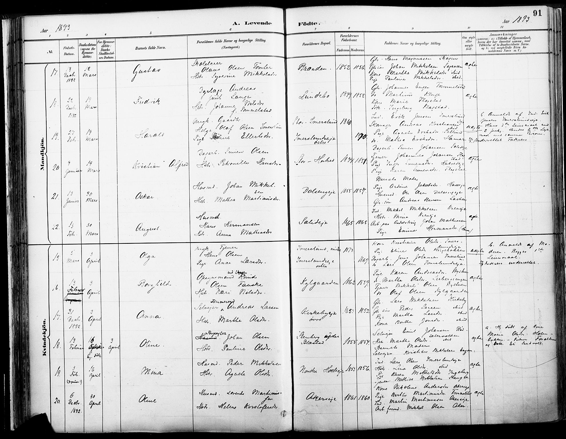 Vang prestekontor, Hedmark, SAH/PREST-008/H/Ha/Haa/L0019A: Parish register (official) no. 19, 1886-1900, p. 91