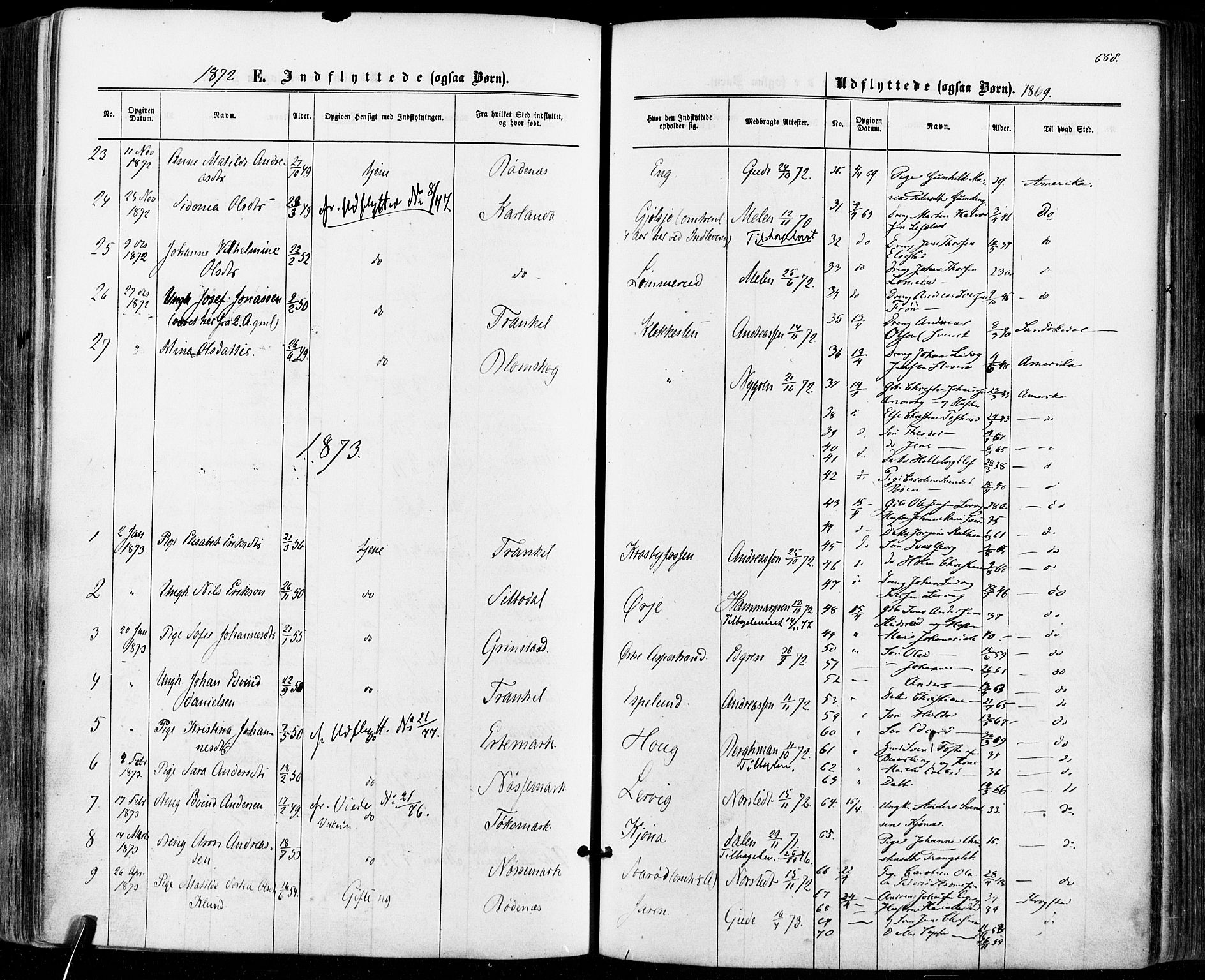 Aremark prestekontor Kirkebøker, SAO/A-10899/F/Fc/L0004: Parish register (official) no. III 4, 1866-1877, p. 667-668
