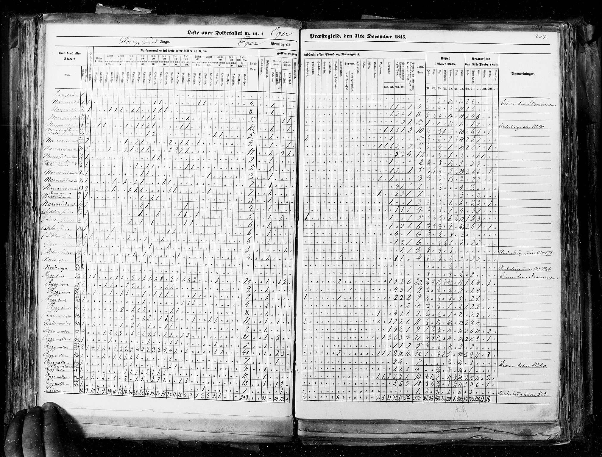 RA, Census 1845, vol. 4: Buskerud amt og Jarlsberg og Larvik amt, 1845, p. 204