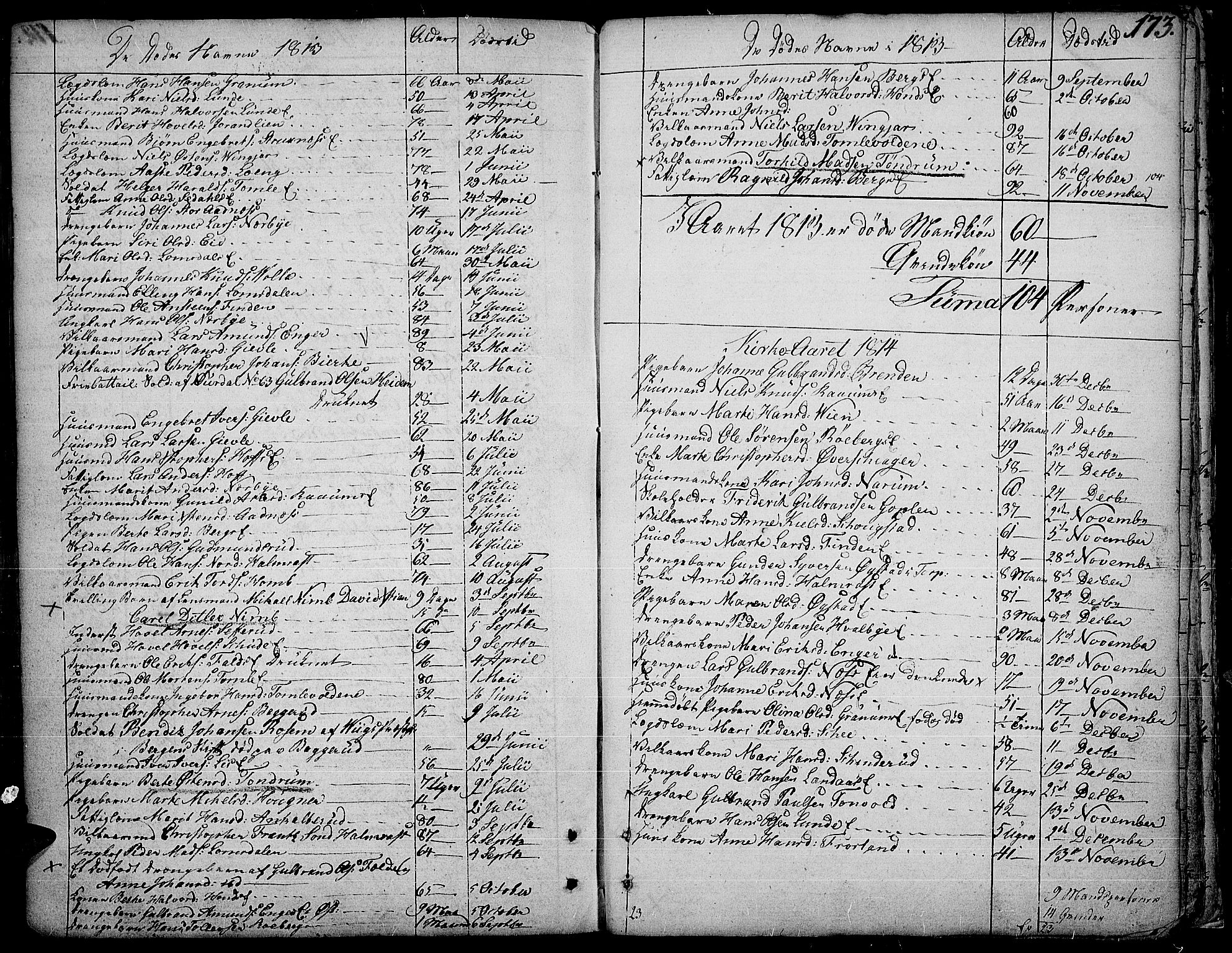 Land prestekontor, SAH/PREST-120/H/Ha/Haa/L0006: Parish register (official) no. 6, 1784-1813, p. 173