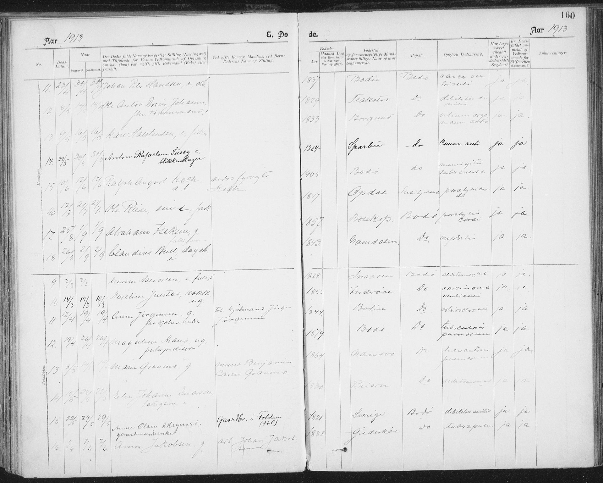 Ministerialprotokoller, klokkerbøker og fødselsregistre - Nordland, SAT/A-1459/801/L0012: Parish register (official) no. 801A12, 1900-1916, p. 160