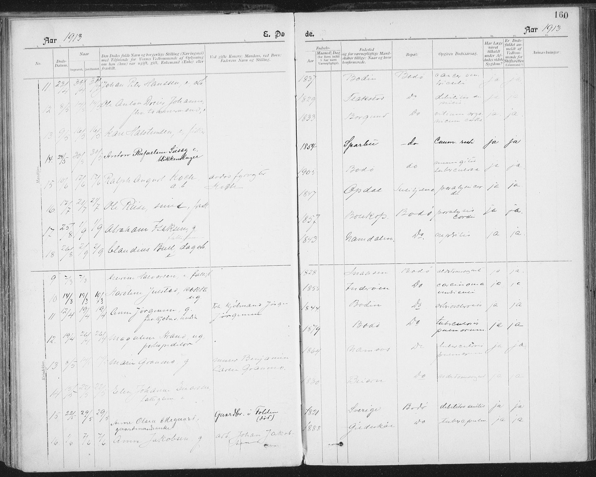 Ministerialprotokoller, klokkerbøker og fødselsregistre - Nordland, AV/SAT-A-1459/801/L0012: Parish register (official) no. 801A12, 1900-1916, p. 160