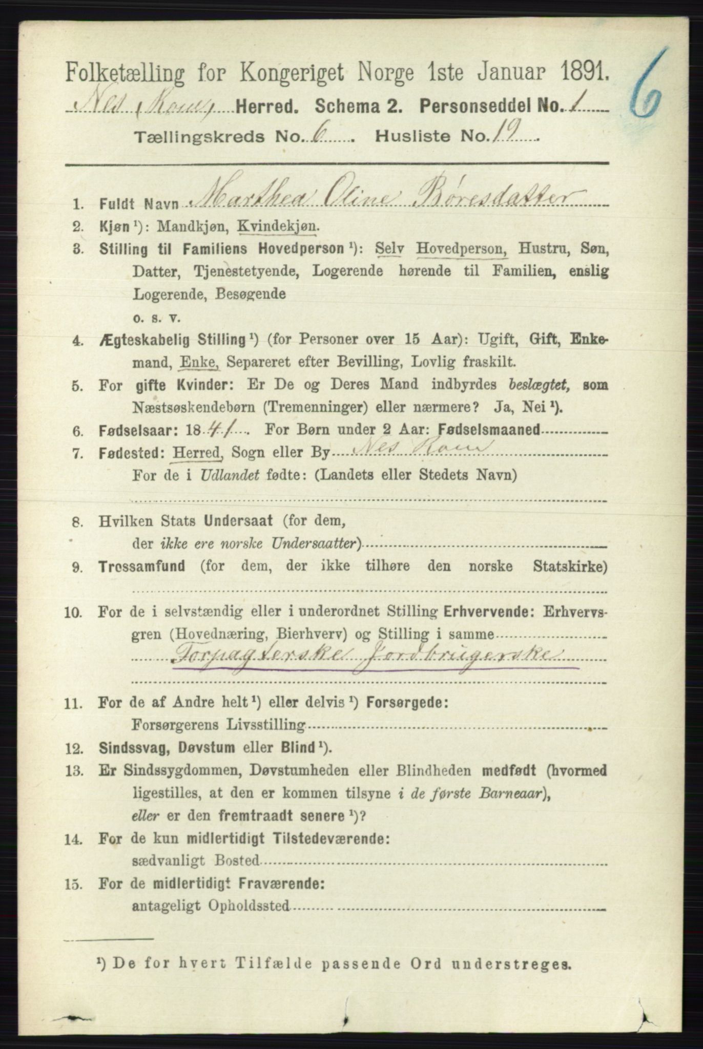 RA, 1891 census for 0236 Nes, 1891, p. 3492