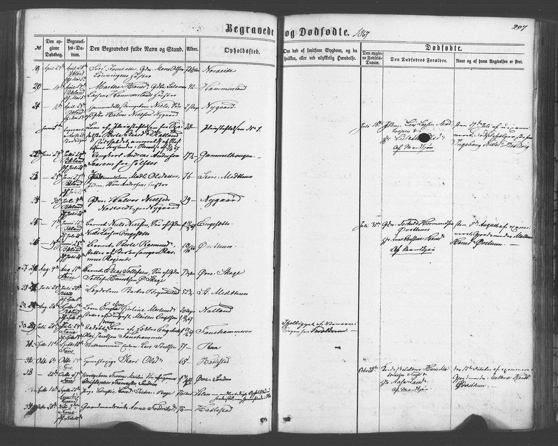 Fana Sokneprestembete, SAB/A-75101/H/Haa/Haaa/L0012: Parish register (official) no. A 12, 1862-1878, p. 207