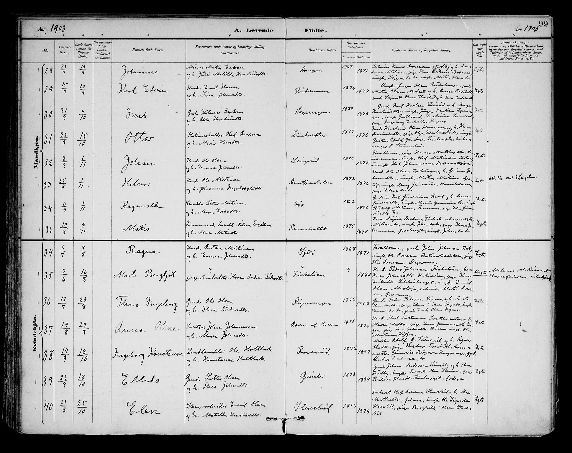 Brandval prestekontor, AV/SAH-PREST-034/H/Ha/Haa/L0003: Parish register (official) no. 3, 1894-1909, p. 99