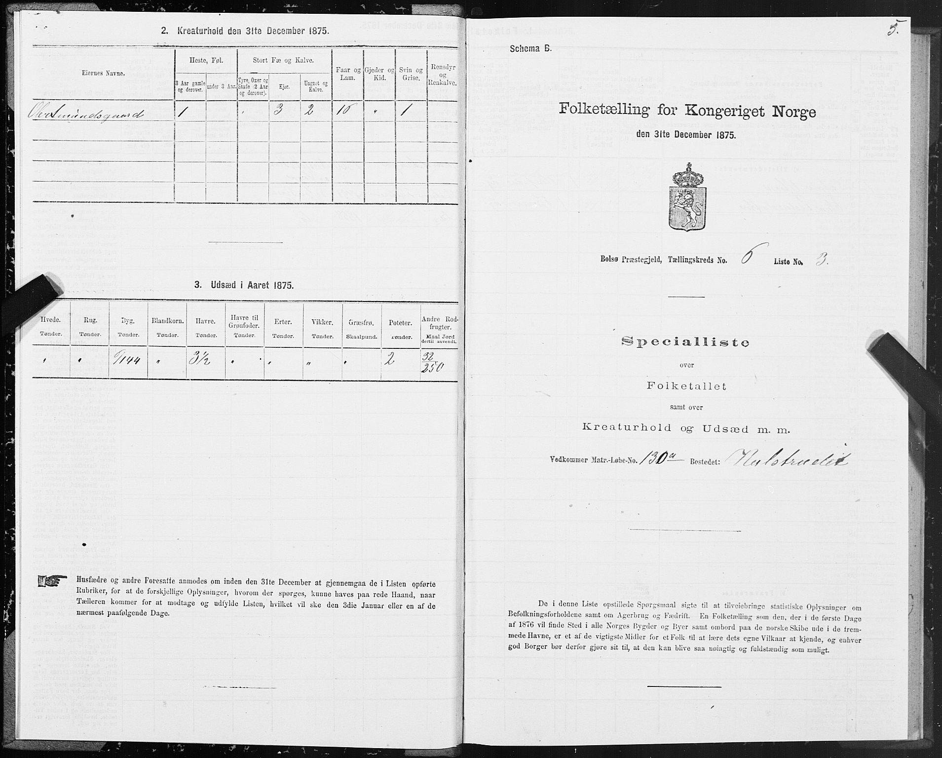 SAT, 1875 census for 1544P Bolsøy, 1875, p. 4005