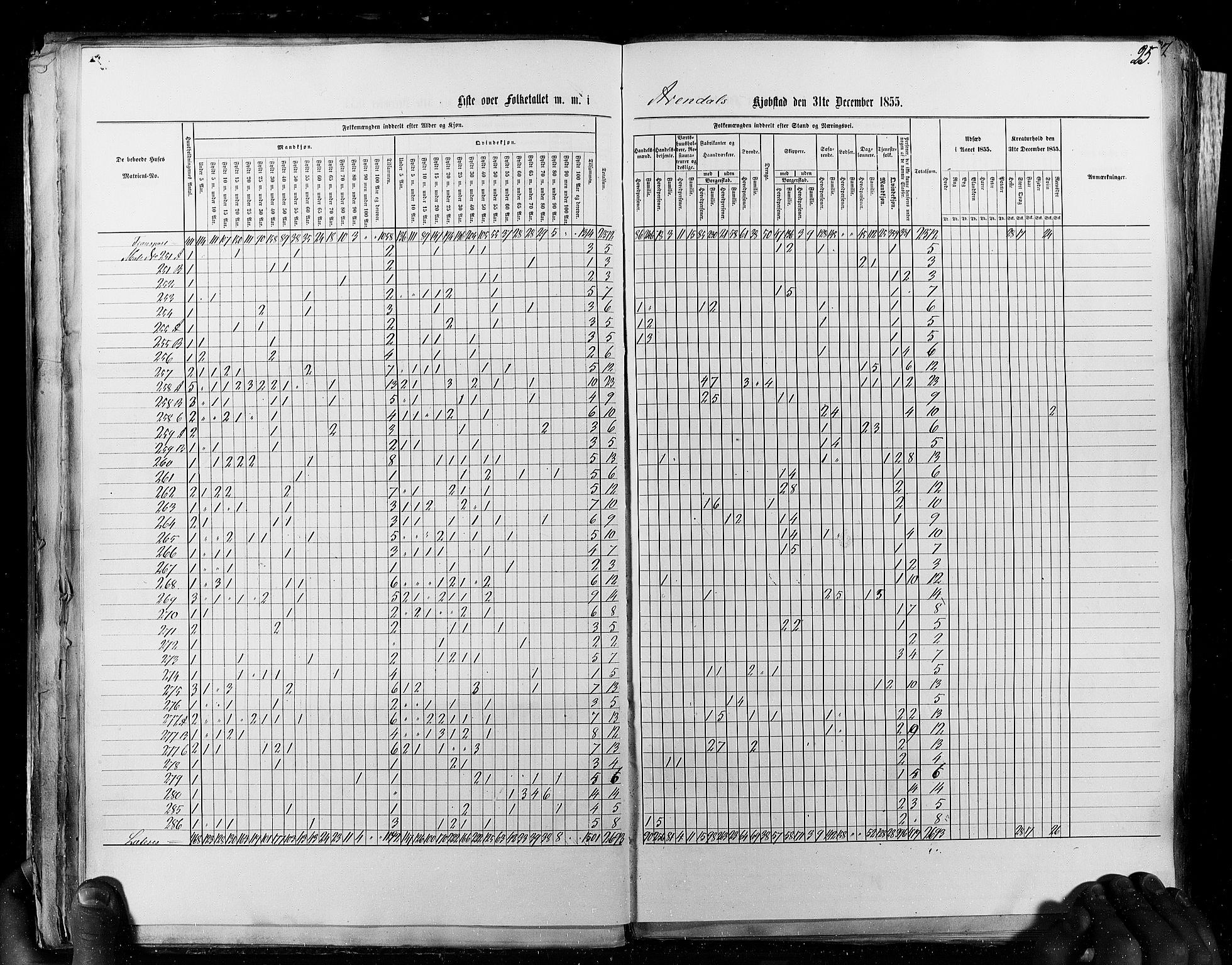 RA, Census 1855, vol. 8: Risør-Vadsø, 1855, p. 25