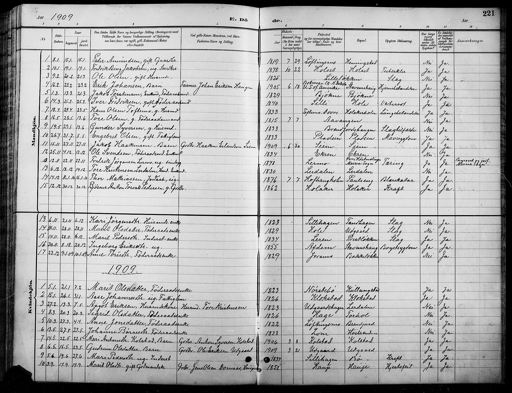 Lesja prestekontor, SAH/PREST-068/H/Ha/Hab/L0007: Parish register (copy) no. 7, 1895-1919, p. 221