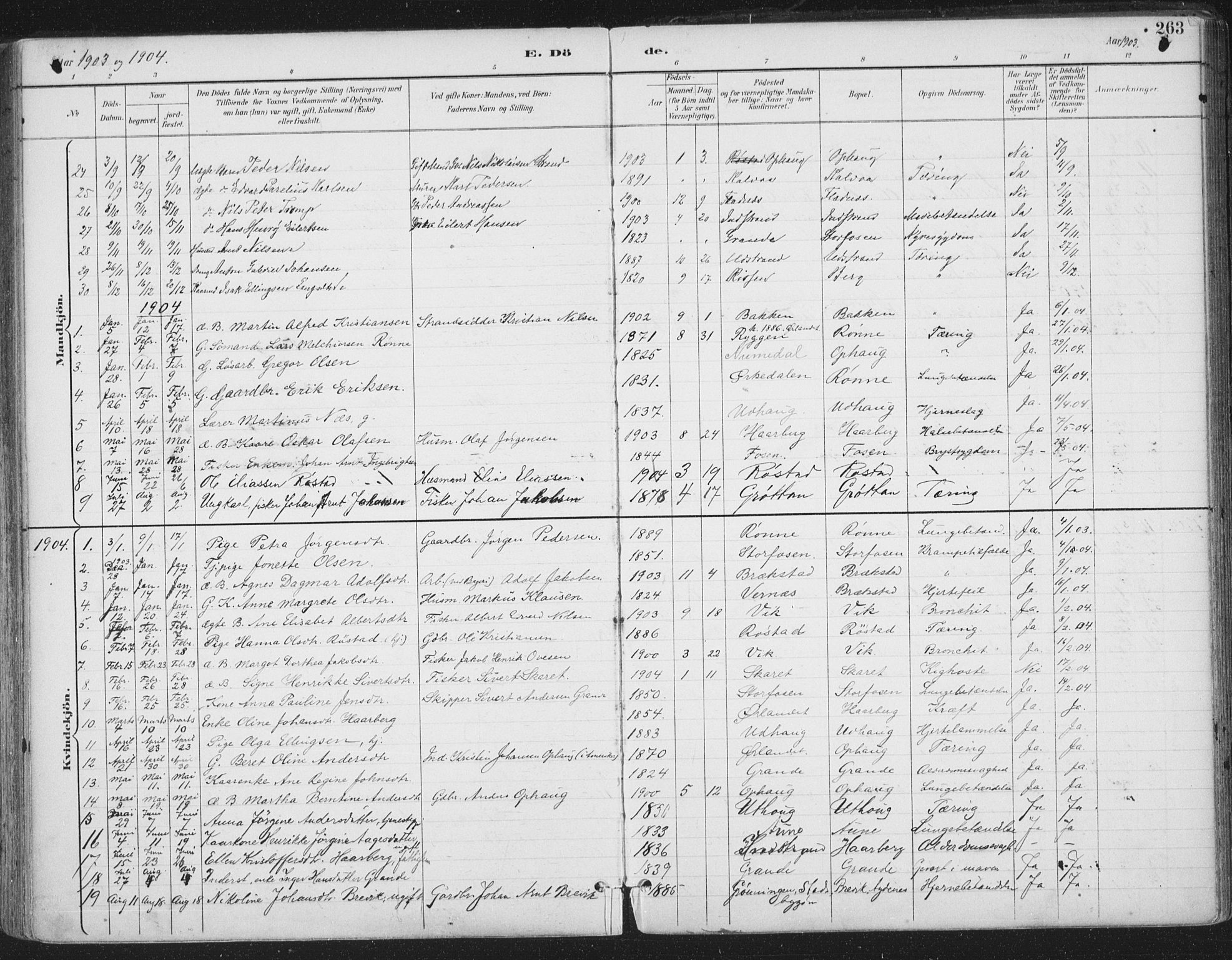 Ministerialprotokoller, klokkerbøker og fødselsregistre - Sør-Trøndelag, SAT/A-1456/659/L0743: Parish register (official) no. 659A13, 1893-1910, p. 263