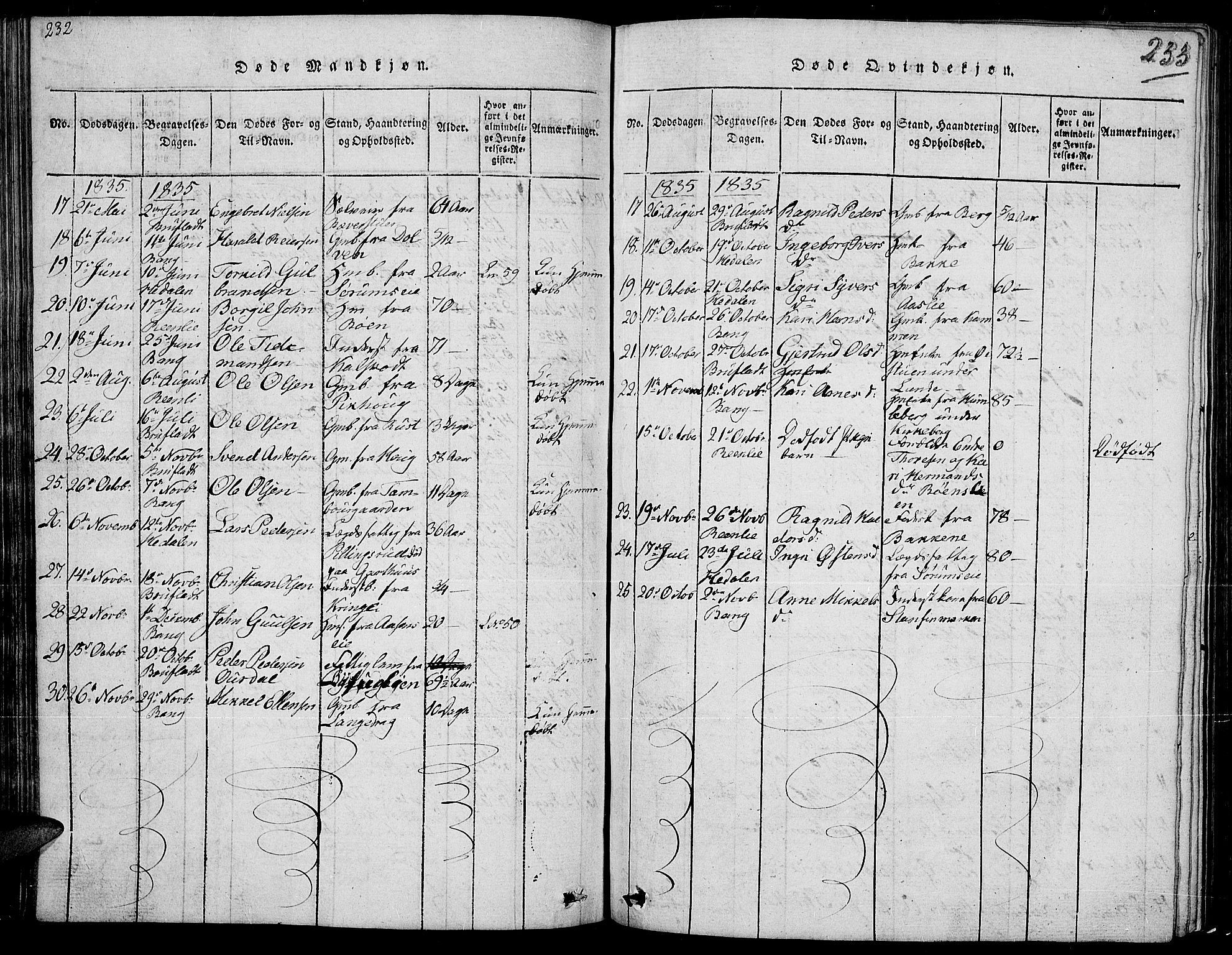 Sør-Aurdal prestekontor, SAH/PREST-128/H/Ha/Hab/L0002: Parish register (copy) no. 2, 1826-1840, p. 232-233