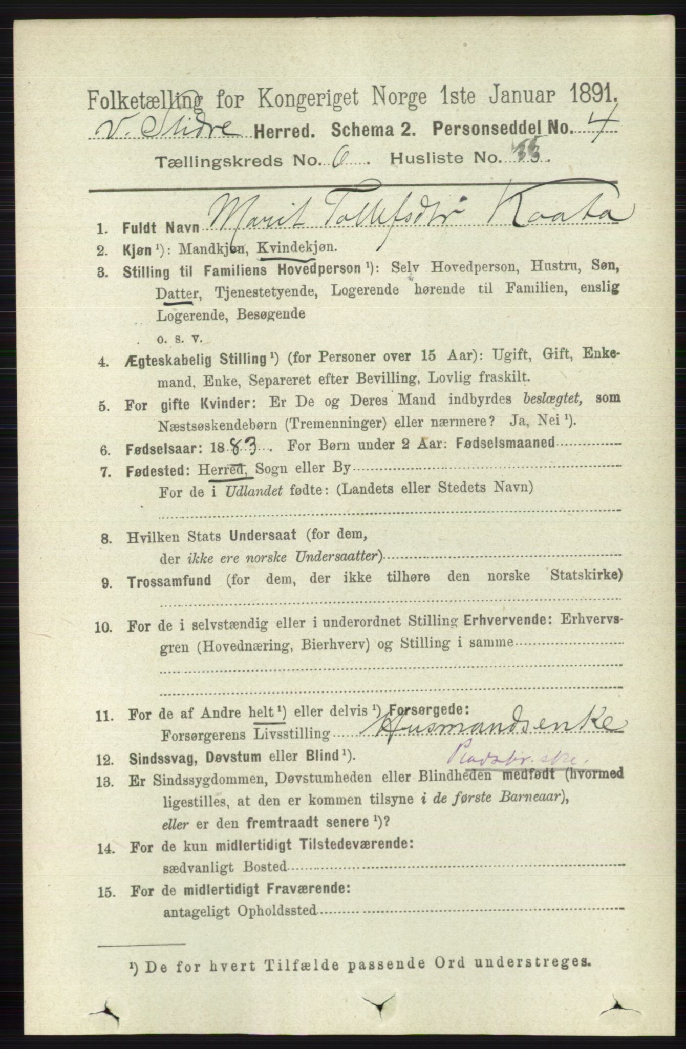 RA, 1891 census for 0543 Vestre Slidre, 1891, p. 2267