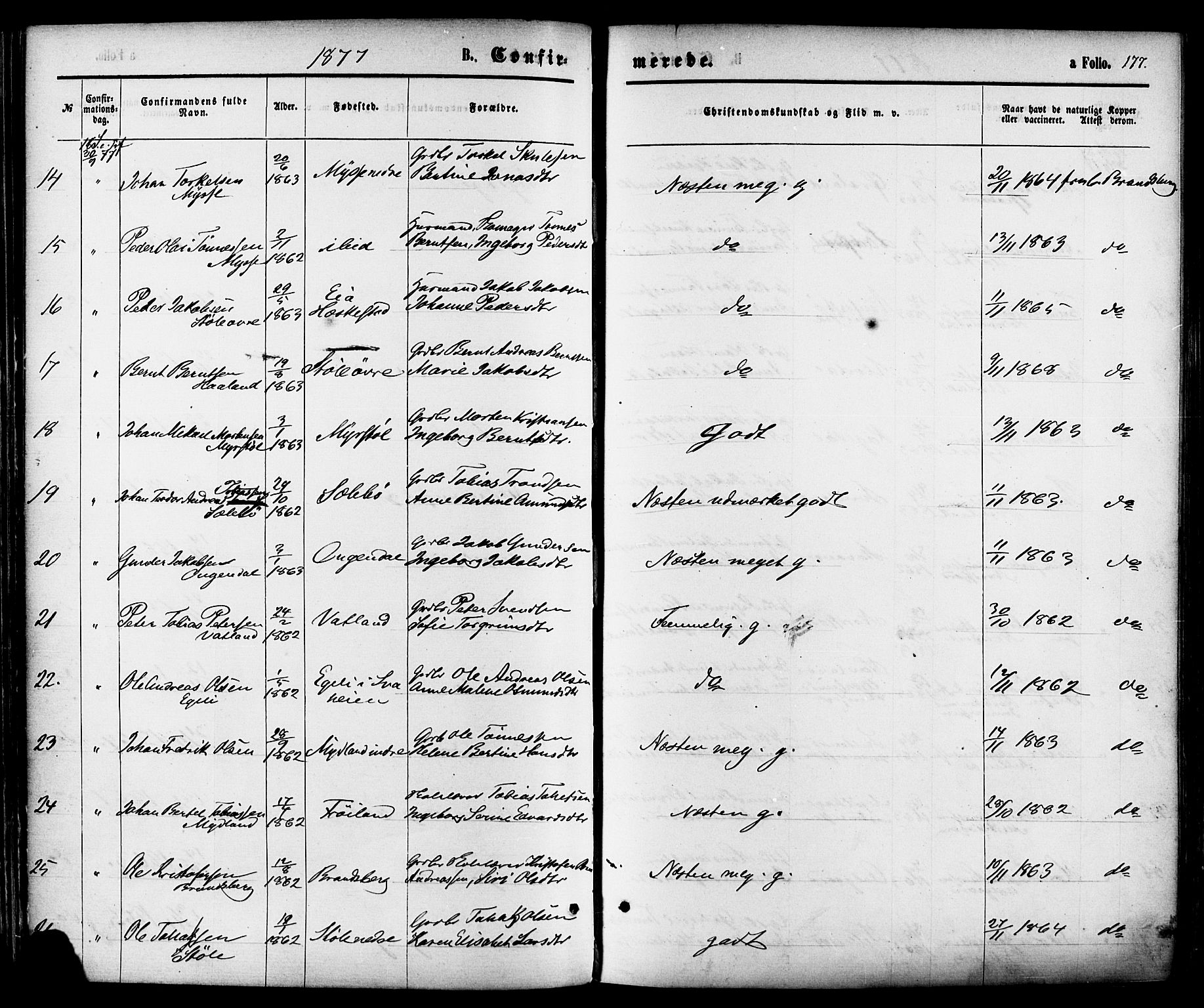 Sokndal sokneprestkontor, AV/SAST-A-101808: Parish register (official) no. A 10, 1874-1886, p. 177