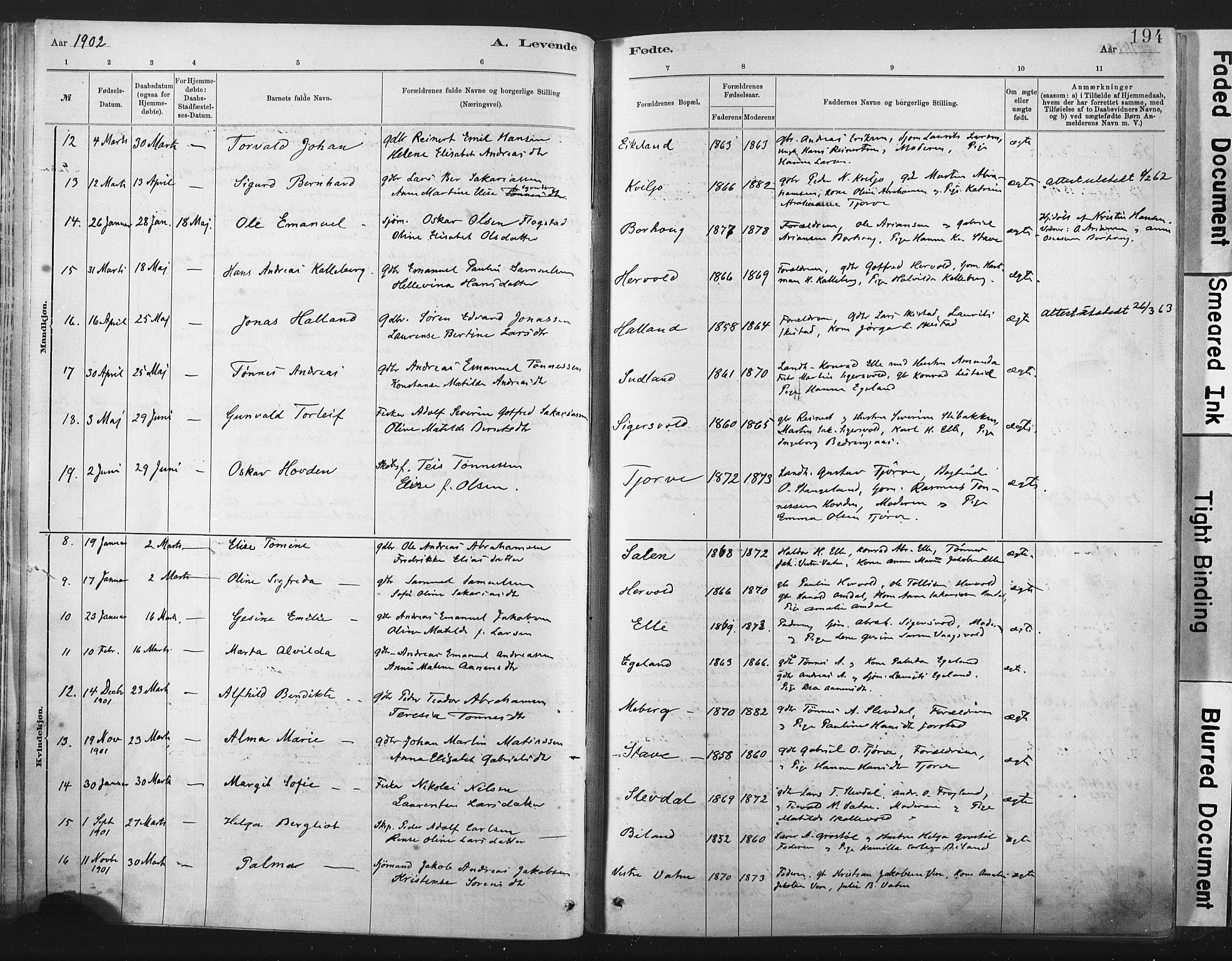 Lista sokneprestkontor, AV/SAK-1111-0027/F/Fa/L0012: Parish register (official) no. A 12, 1879-1903, p. 194