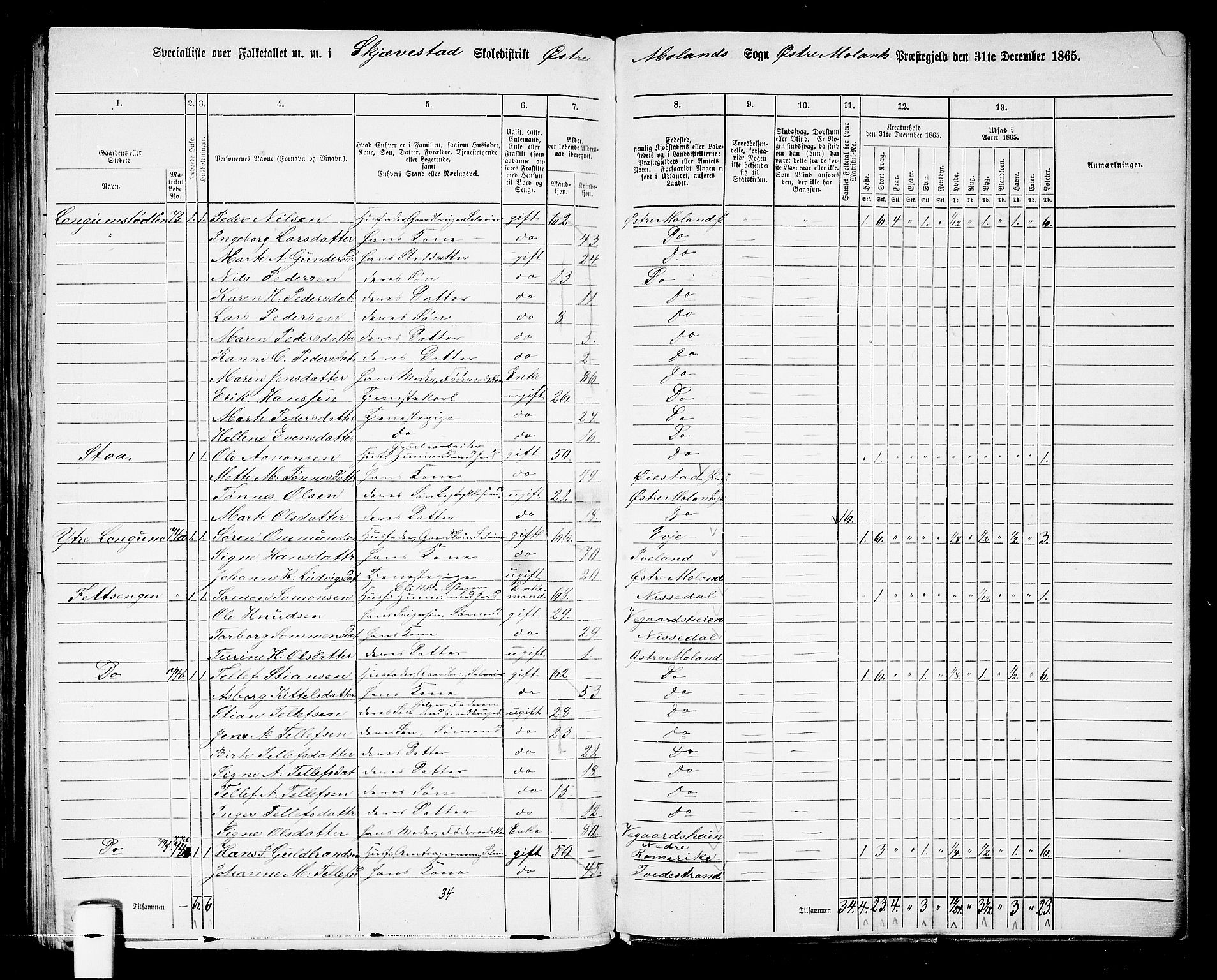 RA, 1865 census for Austre Moland, 1865, p. 309