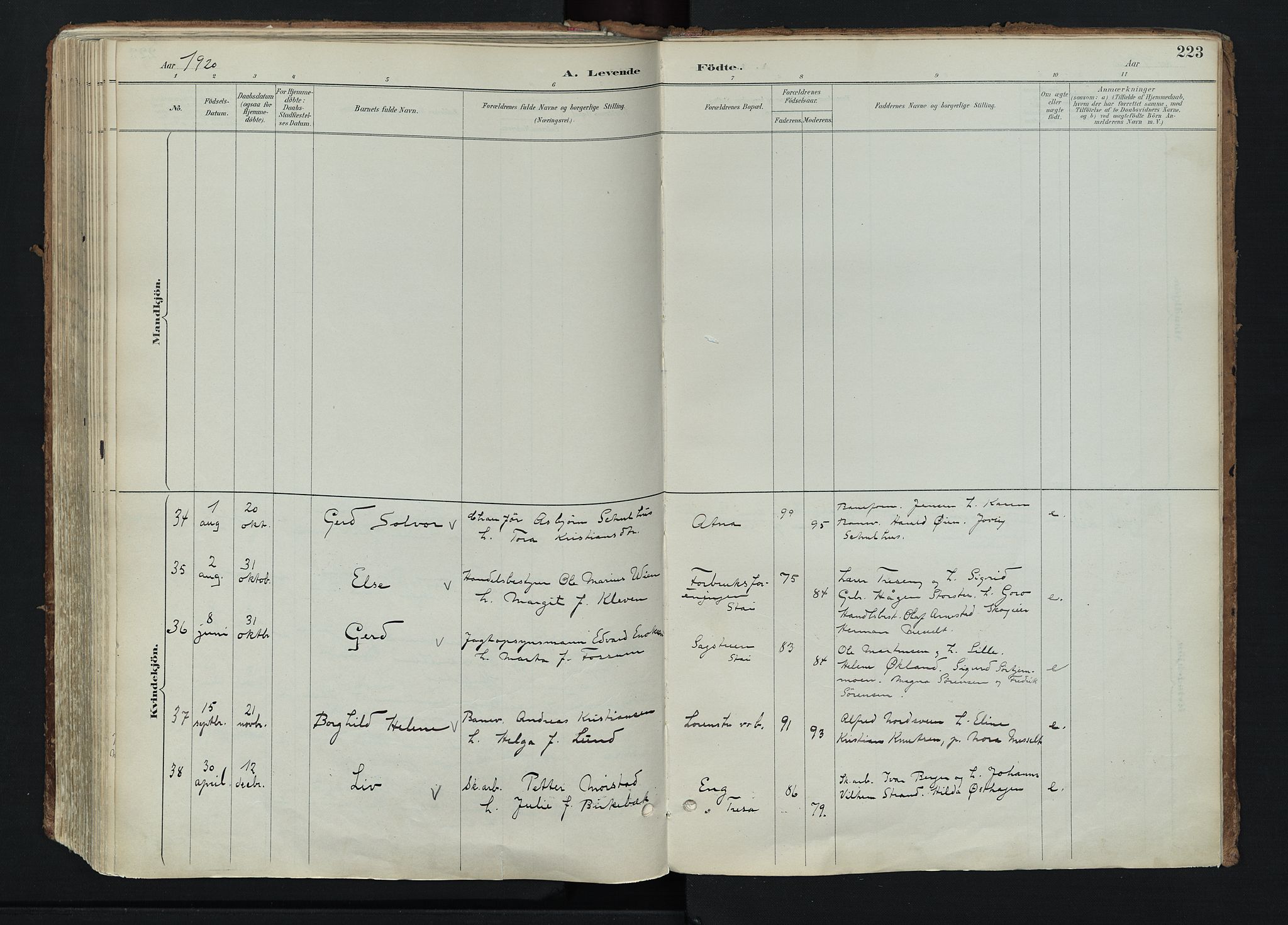 Stor-Elvdal prestekontor, AV/SAH-PREST-052/H/Ha/Haa/L0004: Parish register (official) no. 4, 1890-1922, p. 223