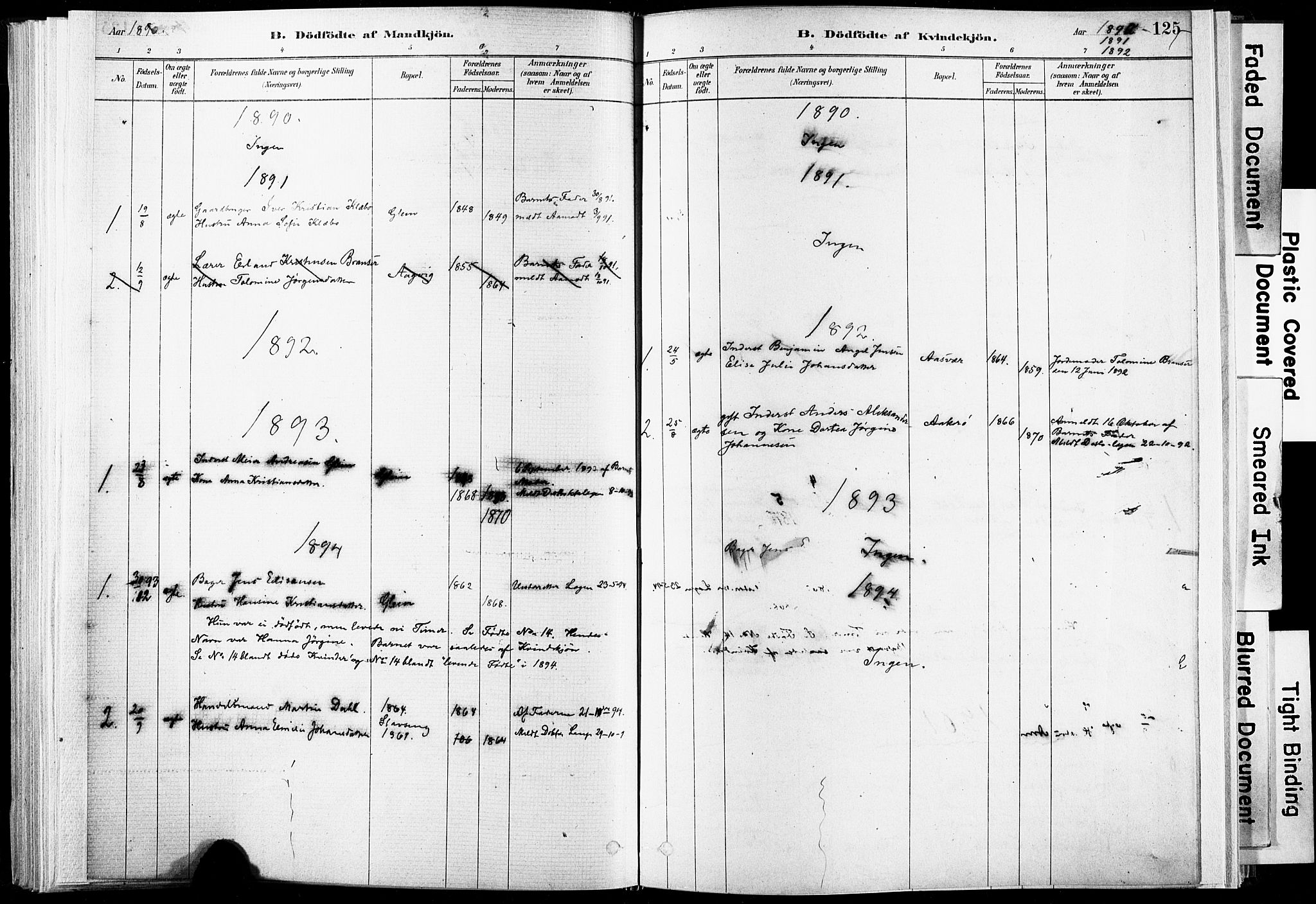 Ministerialprotokoller, klokkerbøker og fødselsregistre - Nordland, SAT/A-1459/835/L0525: Parish register (official) no. 835A03I, 1881-1910, p. 125