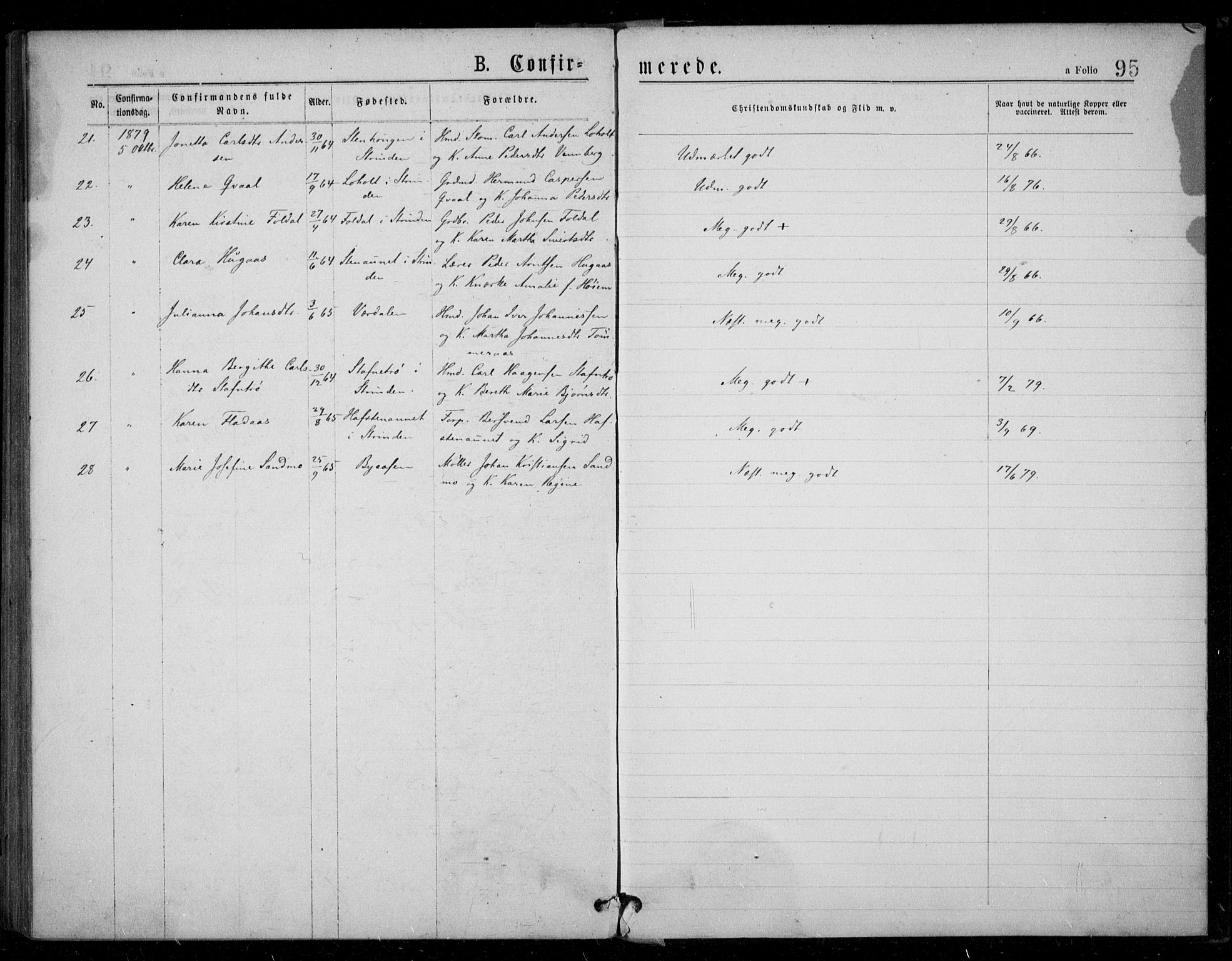 Ministerialprotokoller, klokkerbøker og fødselsregistre - Sør-Trøndelag, AV/SAT-A-1456/602/L0121: Parish register (official) no. 602A19, 1872-1879, p. 95