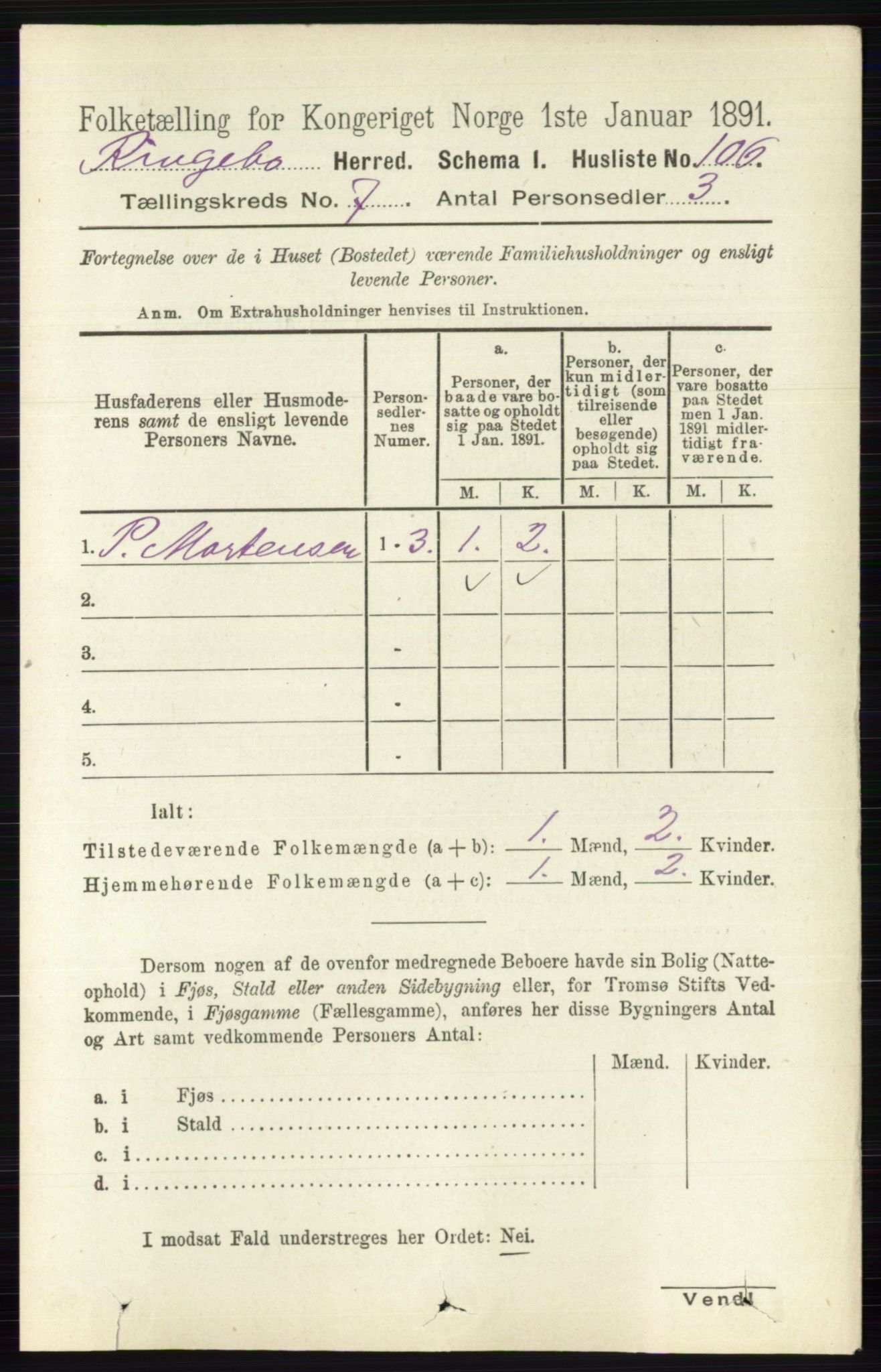 RA, 1891 census for 0520 Ringebu, 1891, p. 3029