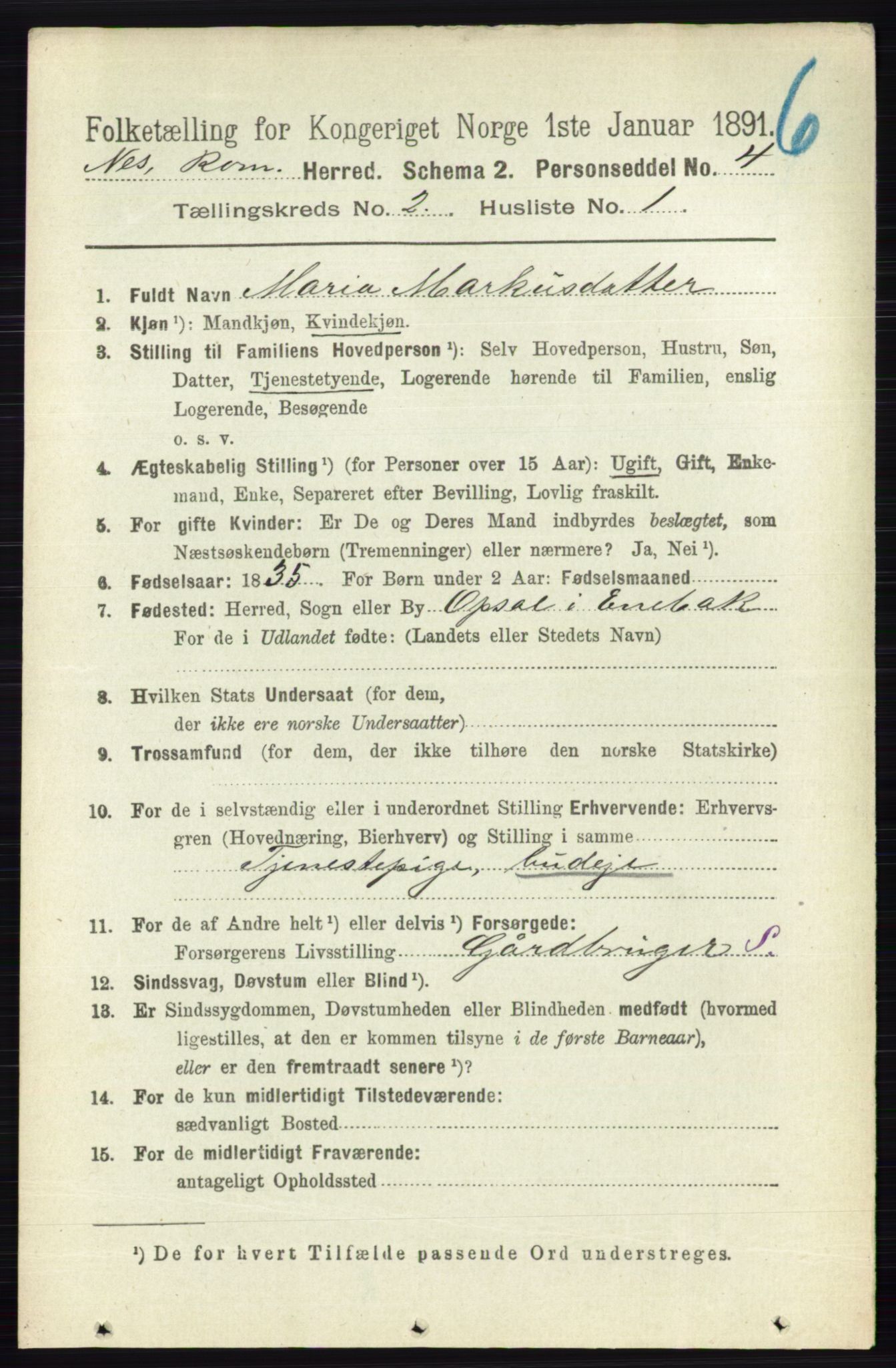 RA, 1891 census for 0236 Nes, 1891, p. 942