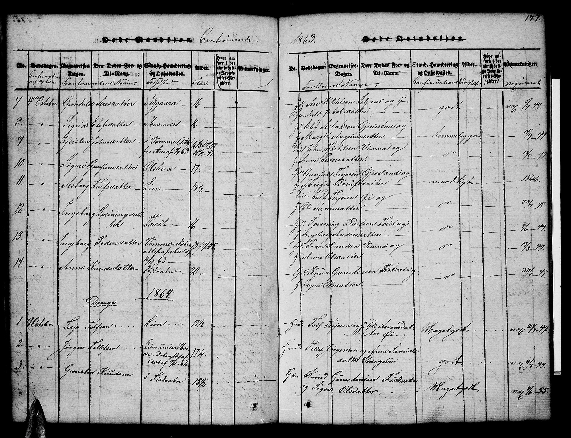 Åmli sokneprestkontor, SAK/1111-0050/F/Fb/Fbc/L0001: Parish register (copy) no. B 1, 1816-1867, p. 177