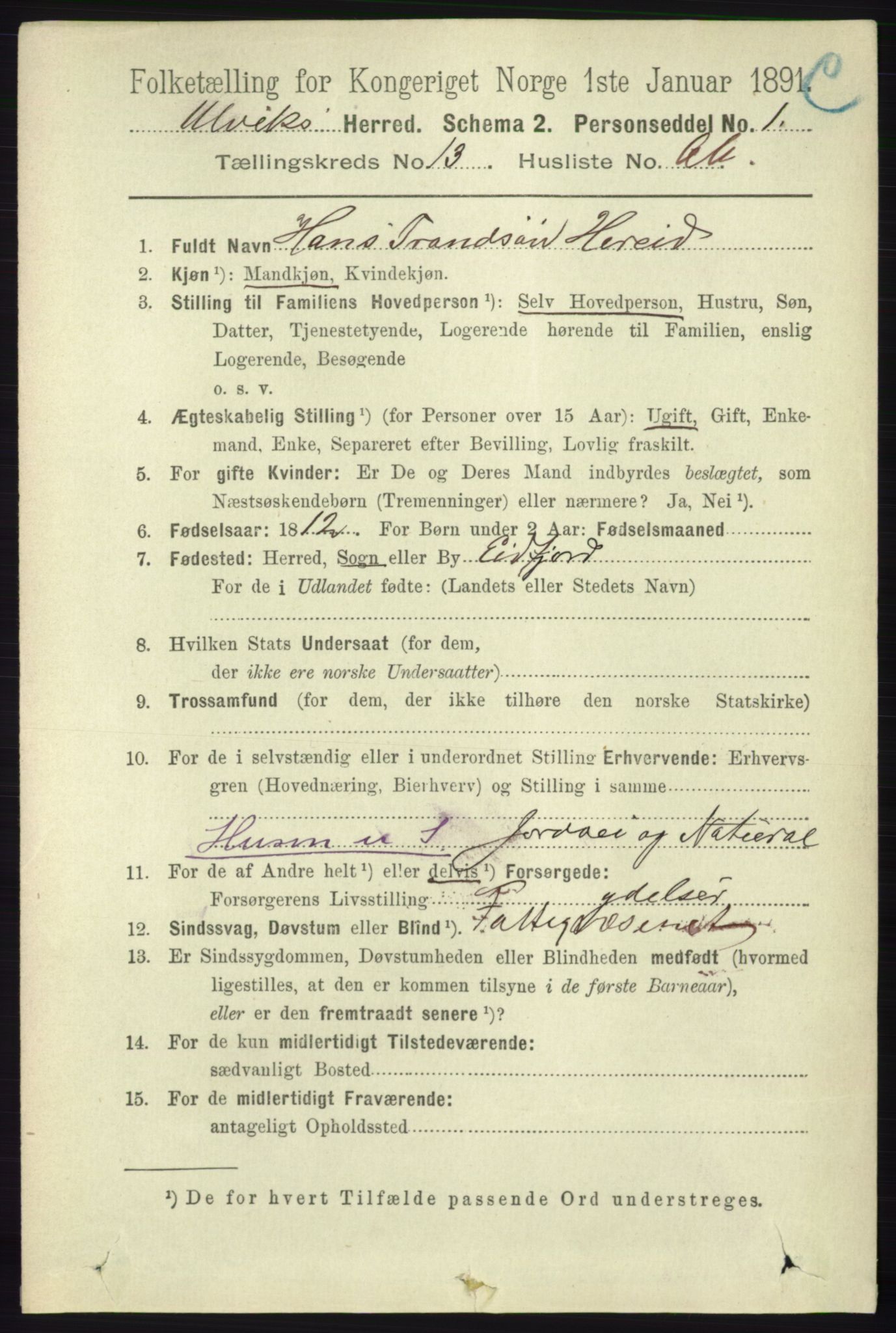 RA, 1891 census for 1233 Ulvik, 1891, p. 4205