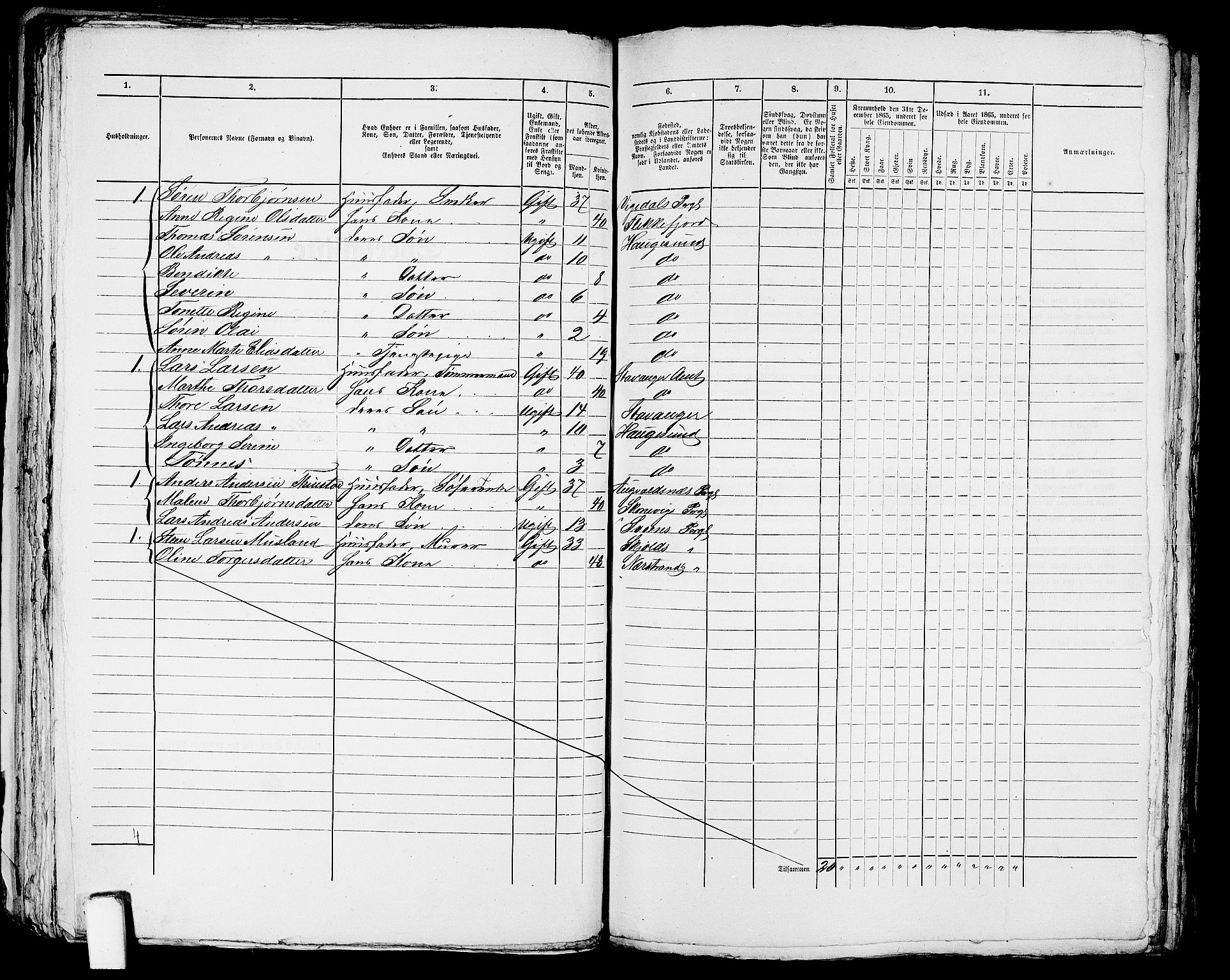 RA, 1865 census for Torvastad/Haugesund, 1865, p. 219