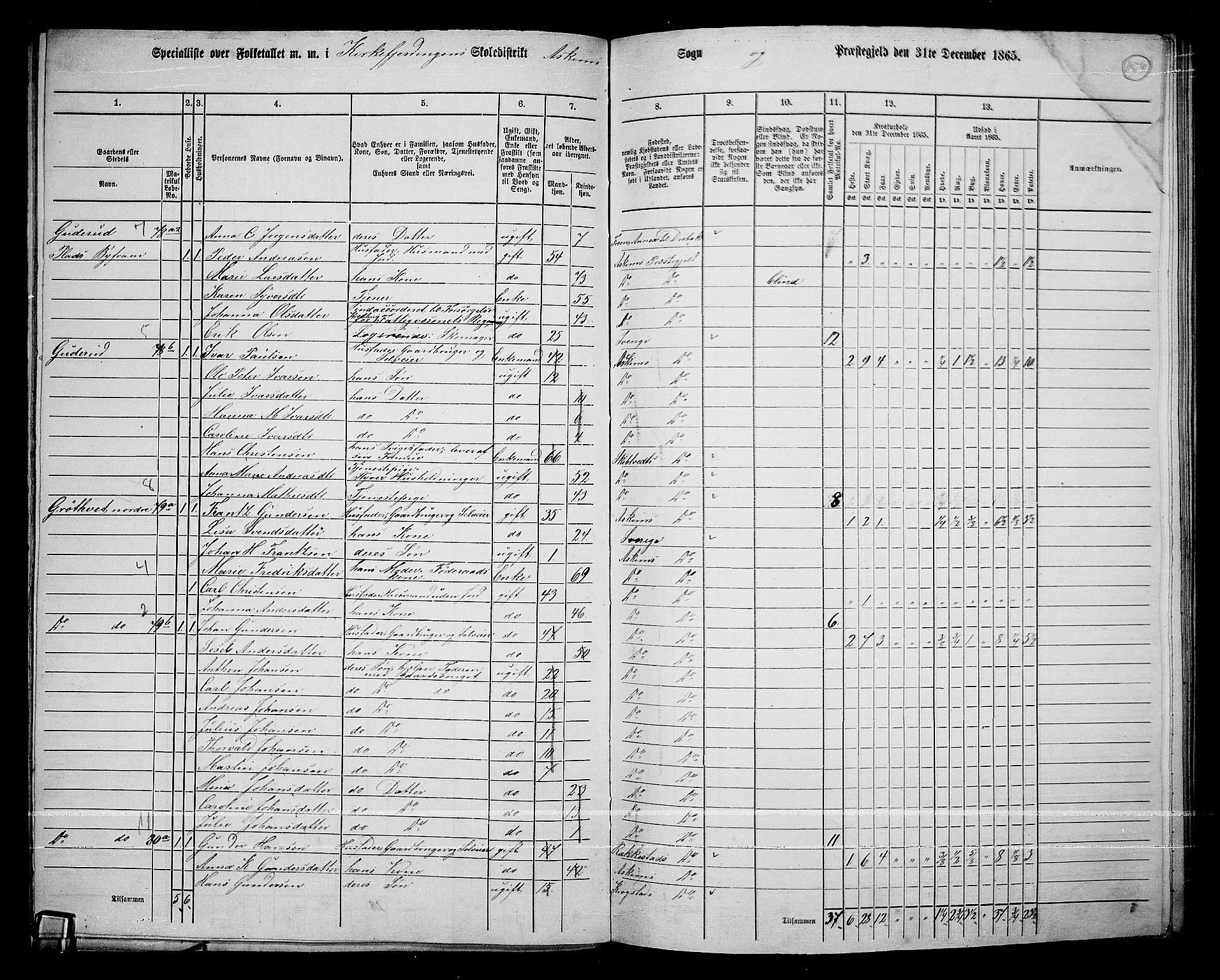 RA, 1865 census for Askim, 1865, p. 17