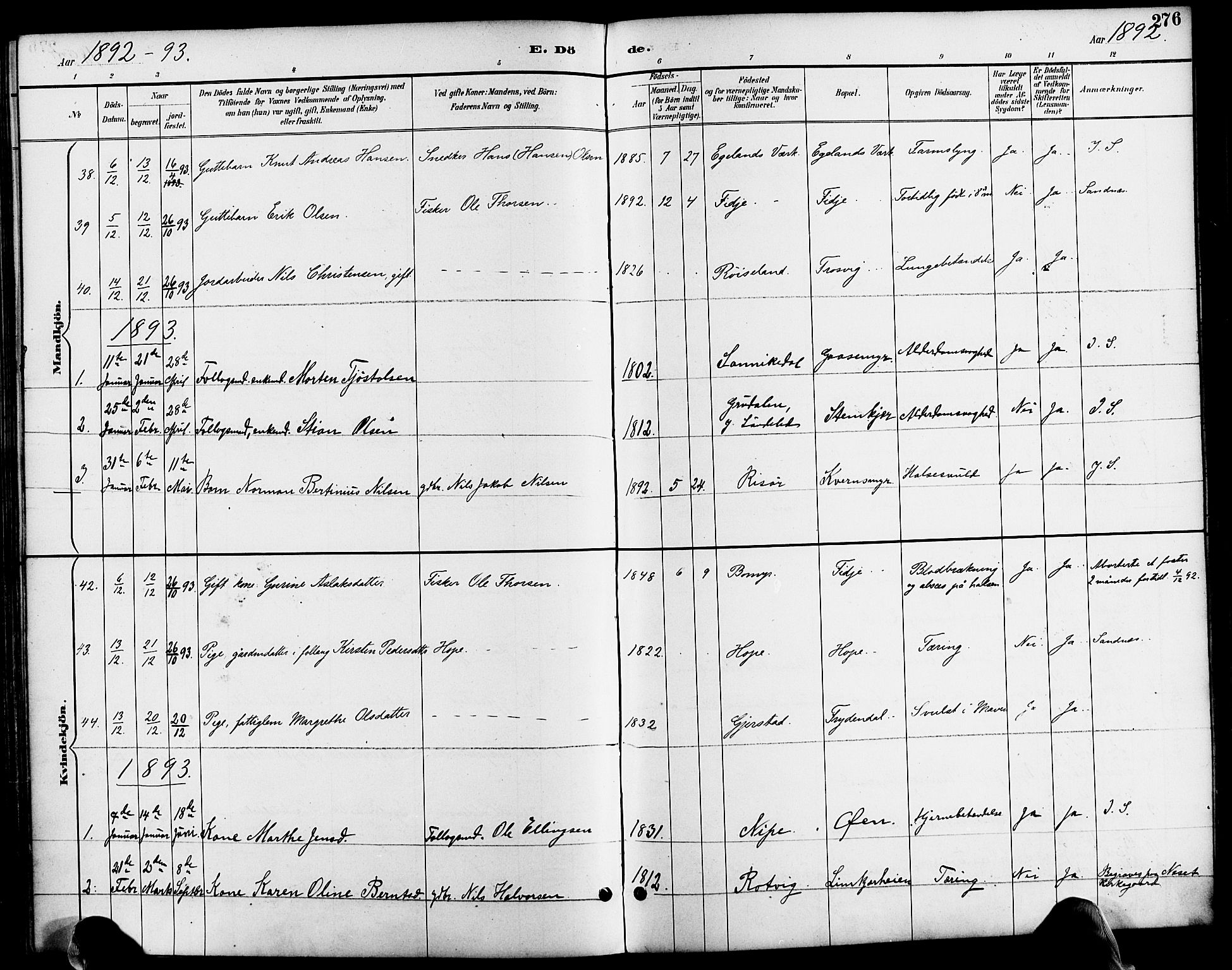 Søndeled sokneprestkontor, SAK/1111-0038/F/Fa/L0005: Parish register (official) no. A 5, 1889-1899, p. 276