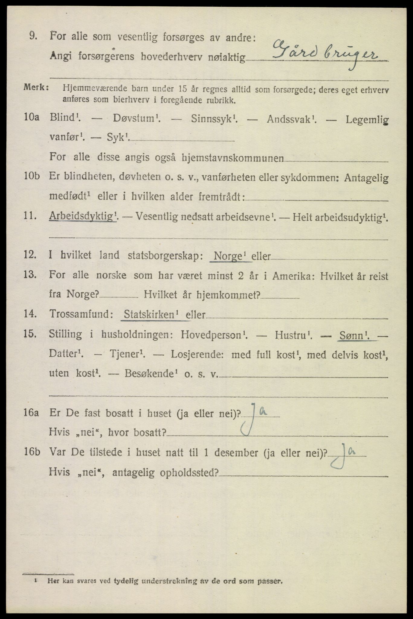 SAK, 1920 census for Finsland, 1920, p. 733