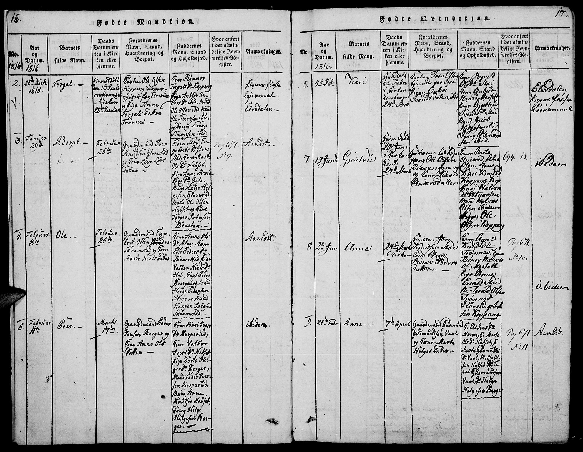 Åmot prestekontor, Hedmark, SAH/PREST-056/H/Ha/Haa/L0005: Parish register (official) no. 5, 1815-1841, p. 16-17