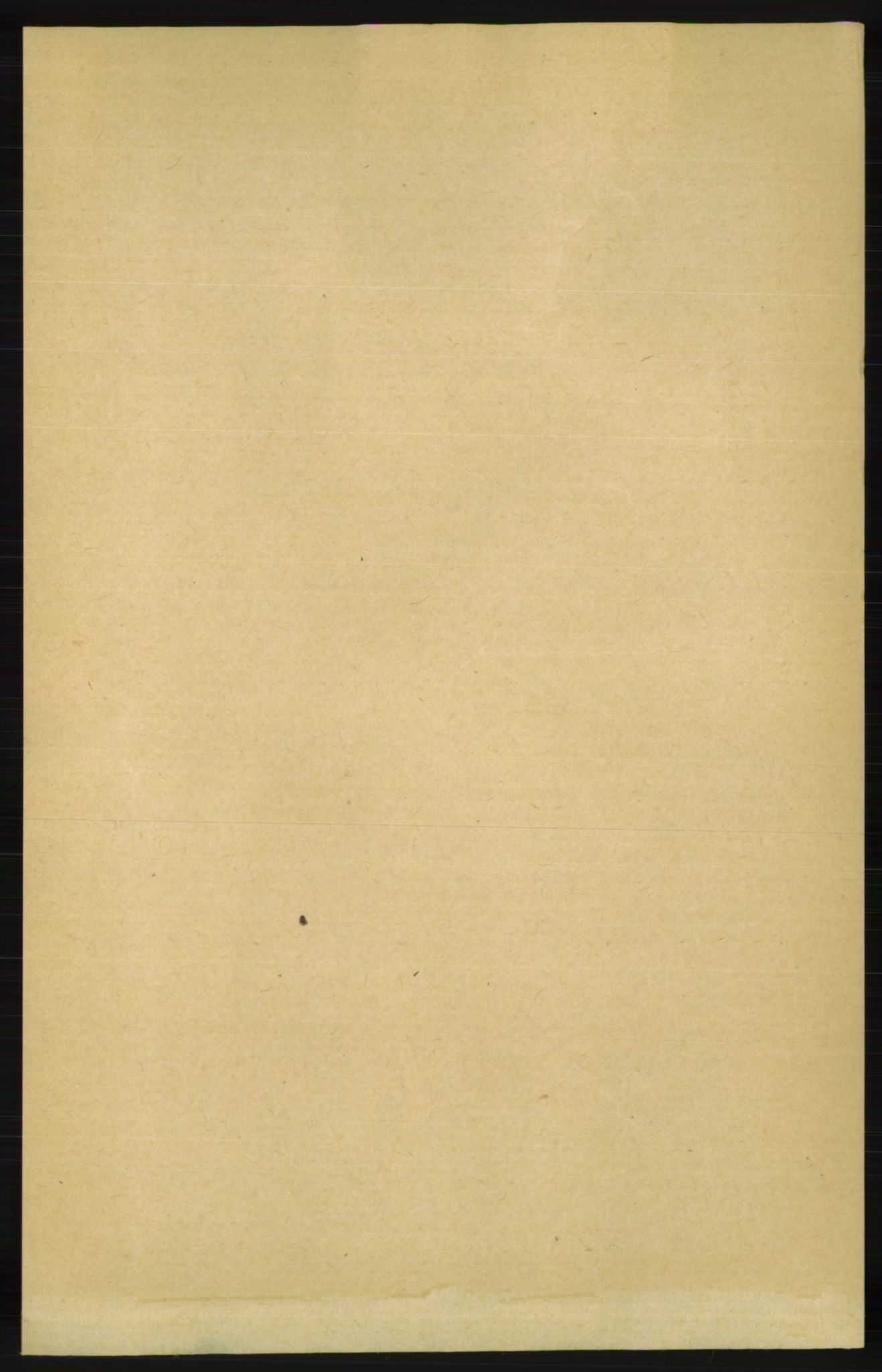 RA, 1891 census for 1036 Fjotland, 1891, p. 388