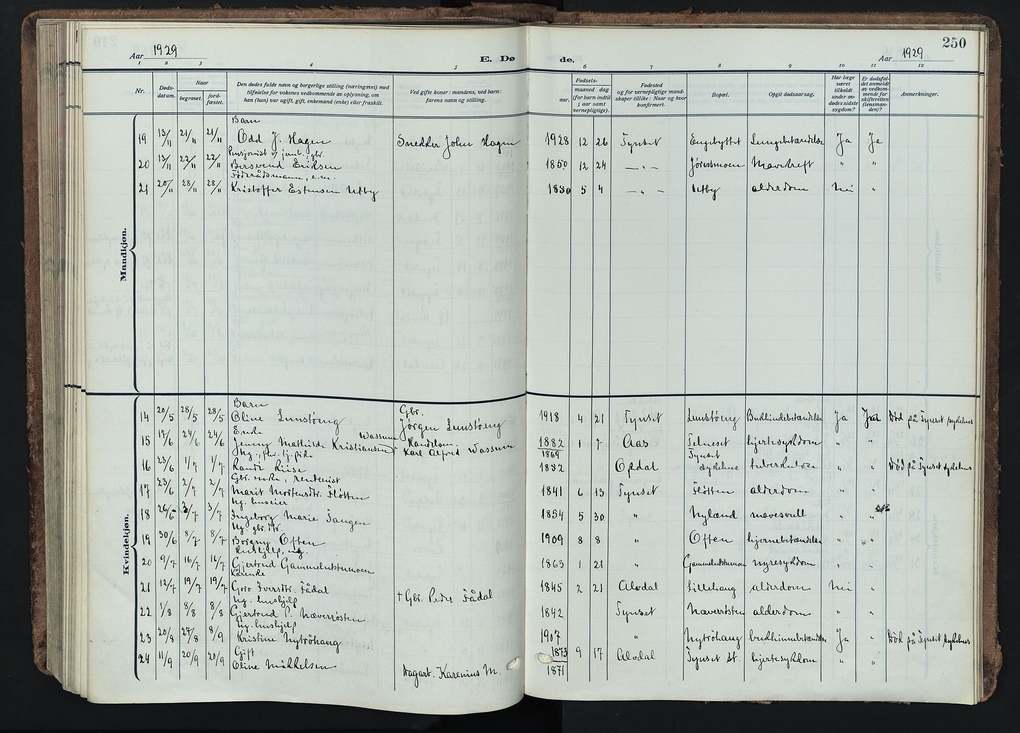 Tynset prestekontor, SAH/PREST-058/H/Ha/Haa/L0026: Parish register (official) no. 26, 1915-1929, p. 250