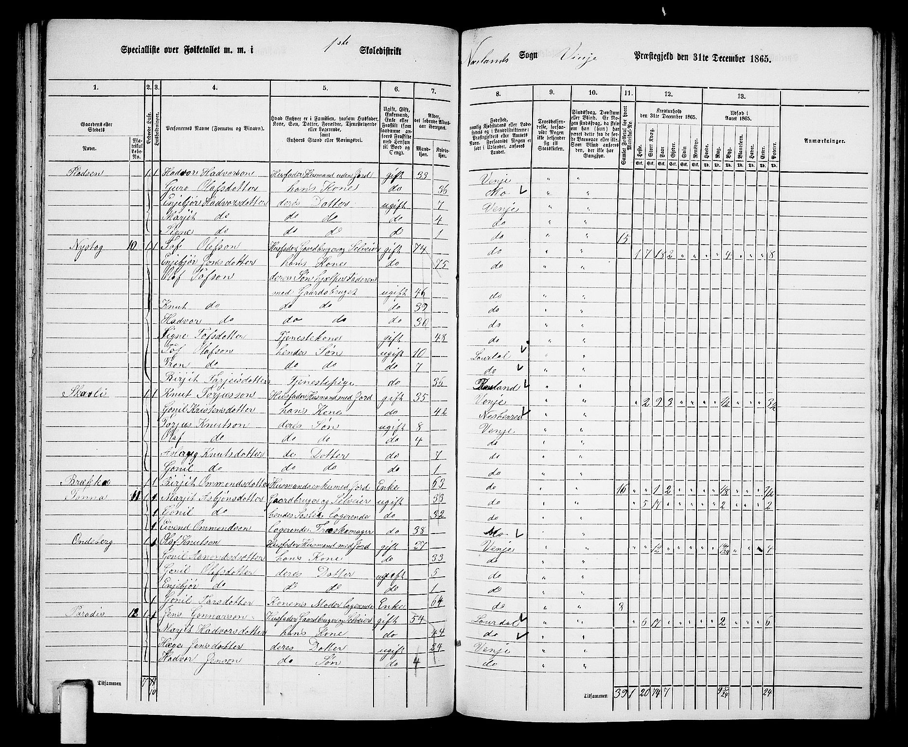 RA, 1865 census for Vinje, 1865, p. 12
